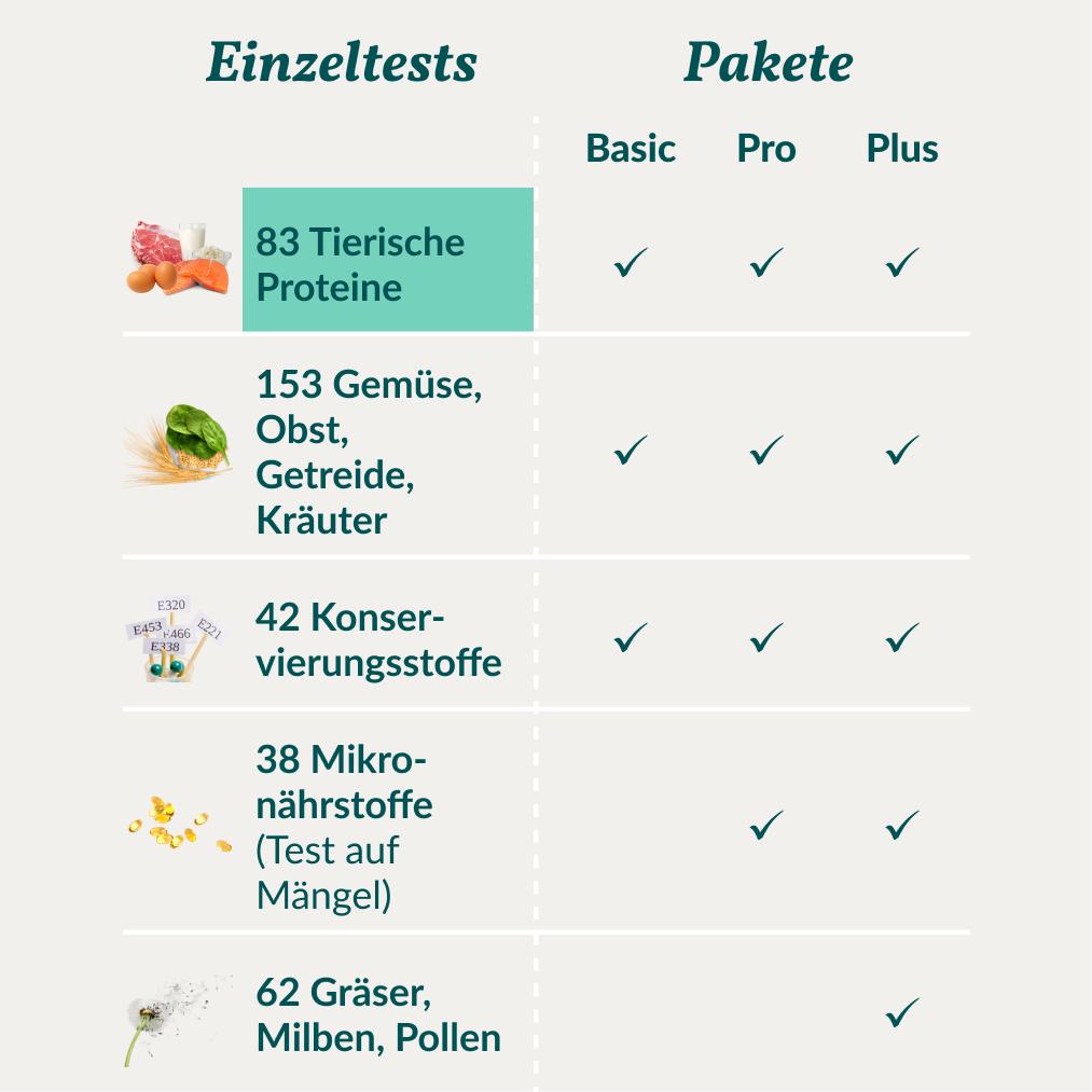 Vetevo Allergietest Hund – 83 Tierische Proteine testen | Fisch, Fleisch, Milch & Ei | Unverträglichkeiten erkennen bei Juckreiz, Durchfall & Pfotenlecken
