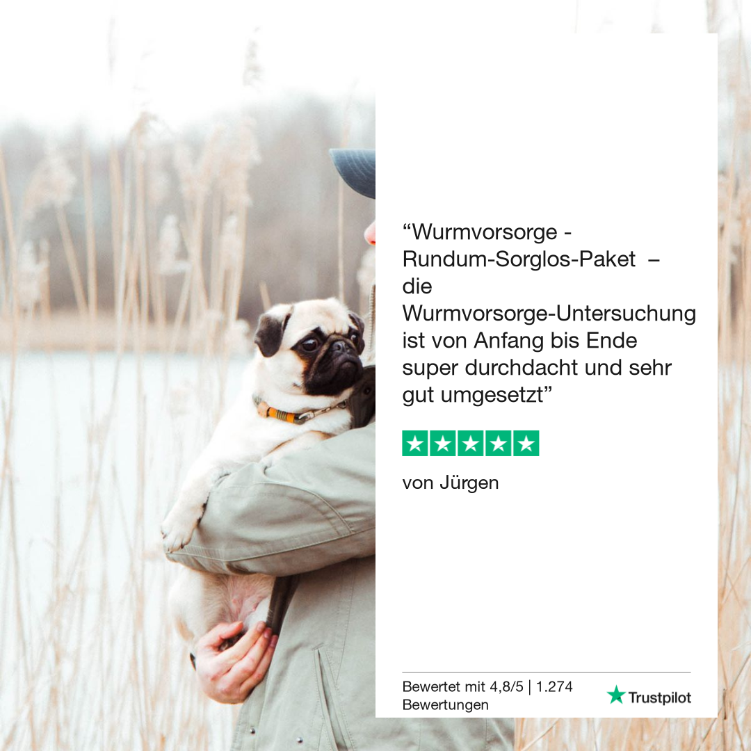 Vetevo Lungenwurmtest für Hunde – Zuverlässiger PCR- & ELISA-Wurmtest zu Hause gegen Lungen- & Herzwürmer (Angiostrongylus vasorum)
