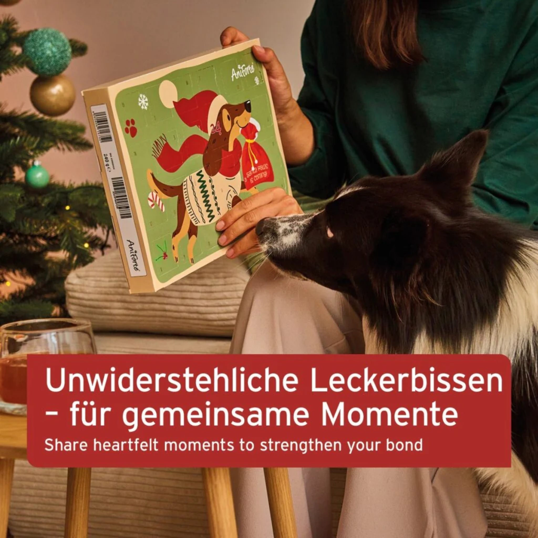 AniForte Adventskalender 2025 für Hunde - Woofshack