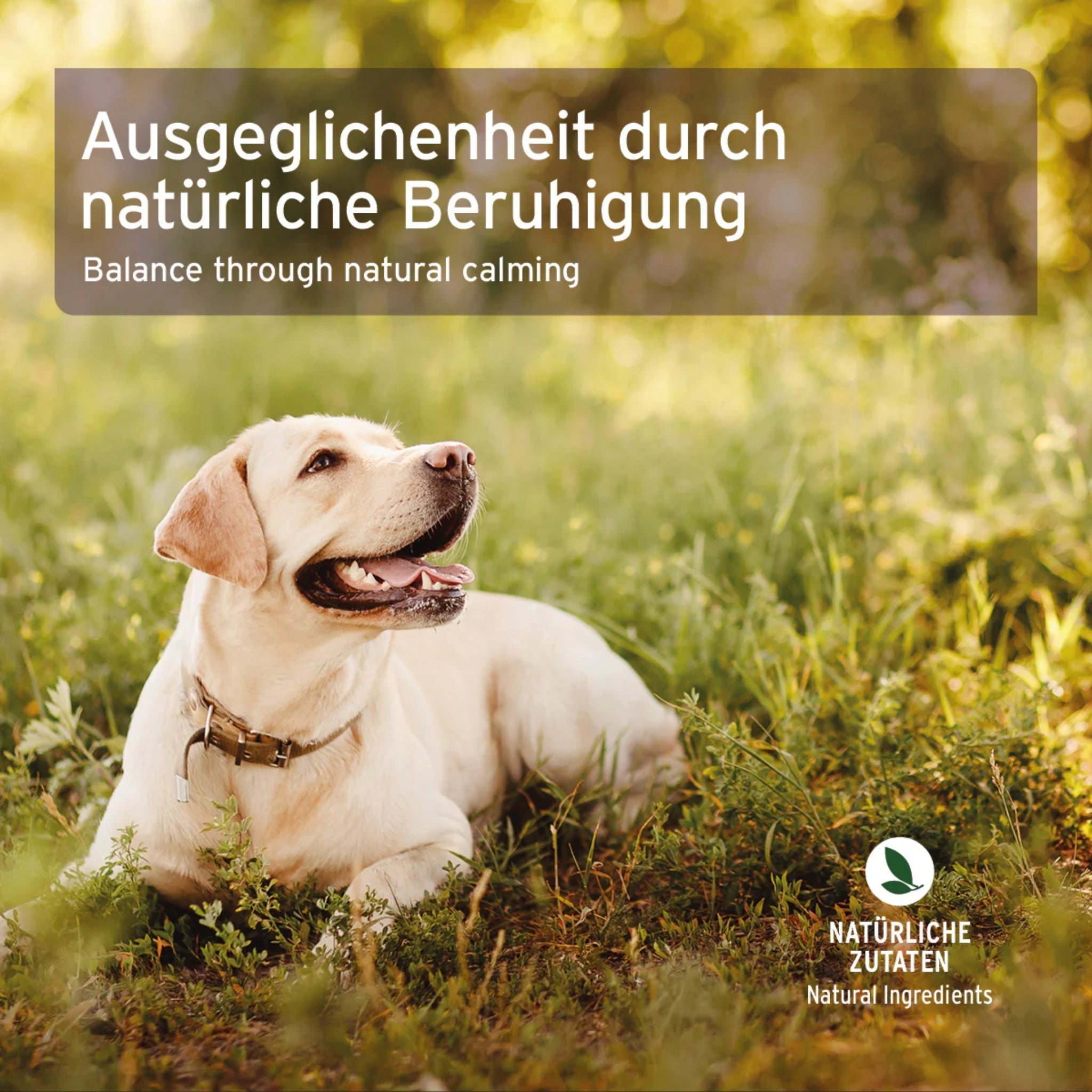 AniForte Bachblüten Cherry Plum, Gelassenheit - Globuli - Woofshack