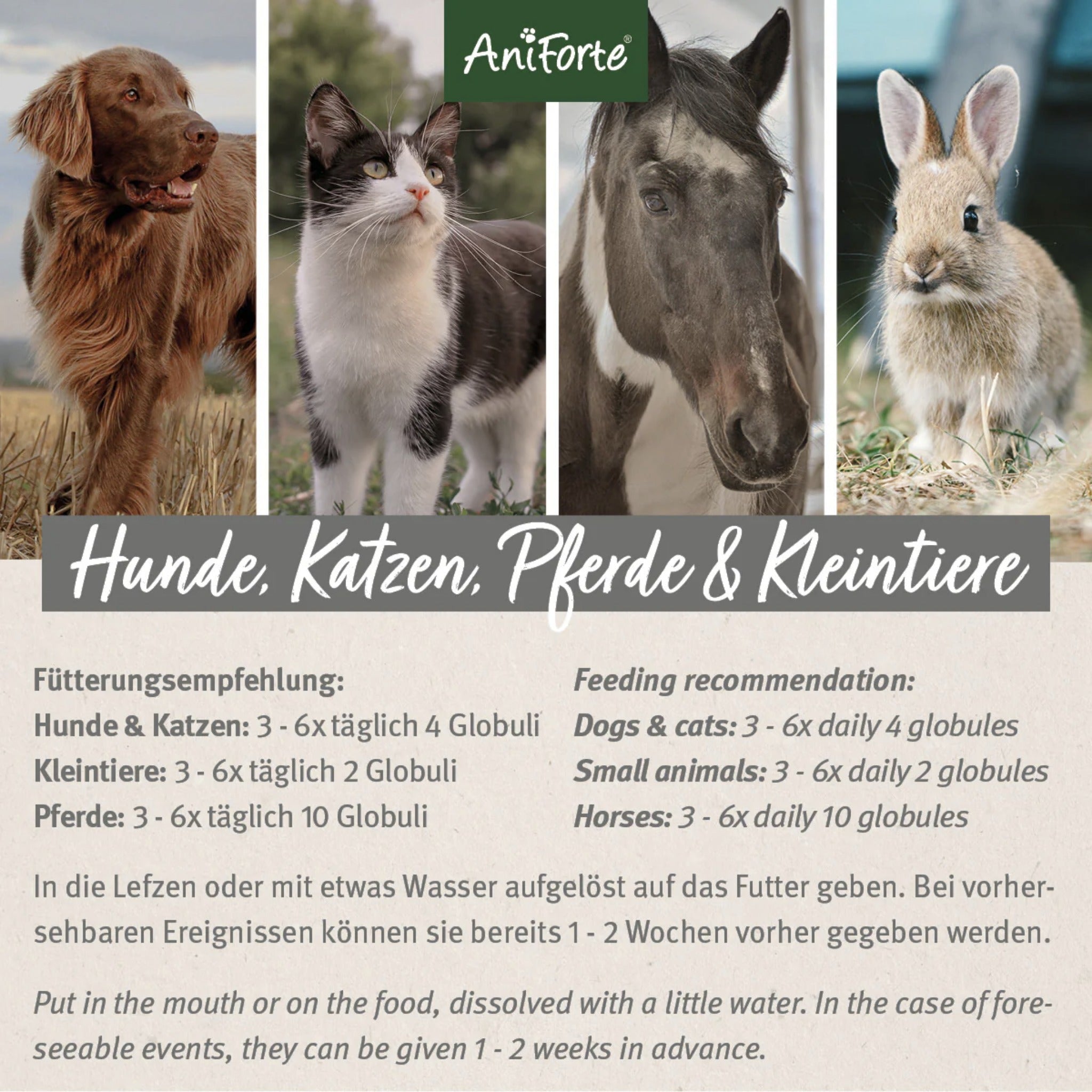 AniForte Bachblüten Stress & Angst - Globuli für Hunde - Woofshack