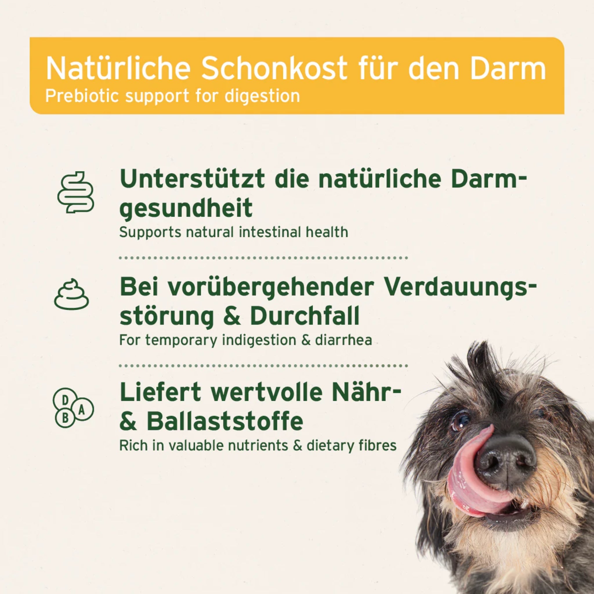 AniForte Bio Morosan Schonkost für Hunde – Natürliche Hilfe bei Durchfall & Verdauungsproblemen, Bio - Qualität mit Morosuppe - Woofshack