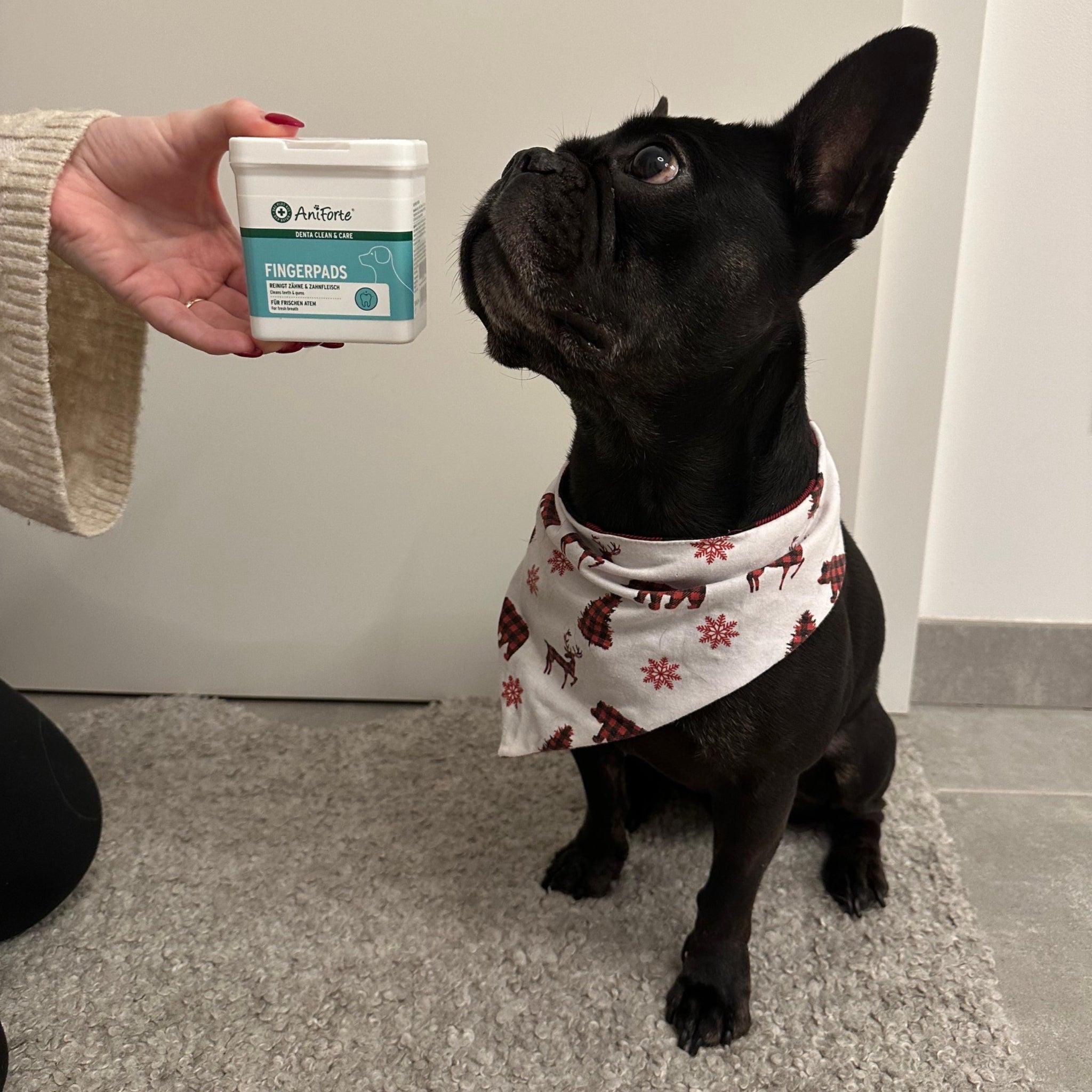 AniForte Denta Clean & Care Zahnpflege Set für Hunde - Woofshack