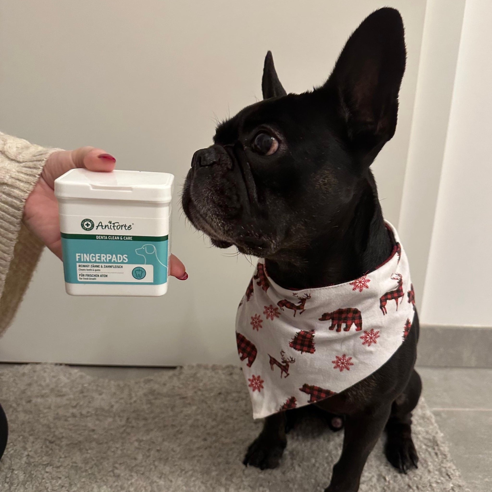 AniForte Denta Clean & Care Zahnpflege Set für Hunde - Woofshack