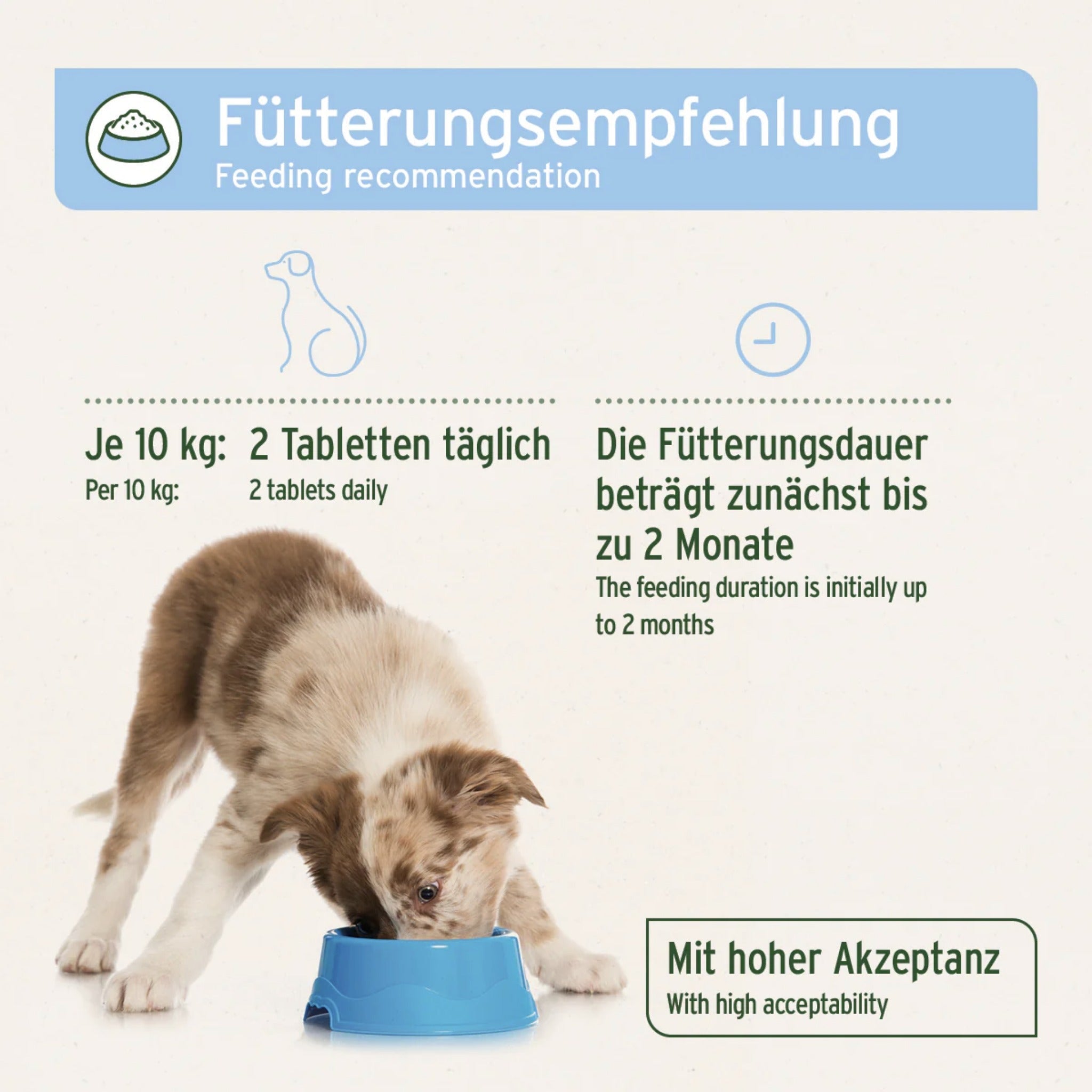 AniForte Fell & Haut Tabletten für Hunde - Woofshack