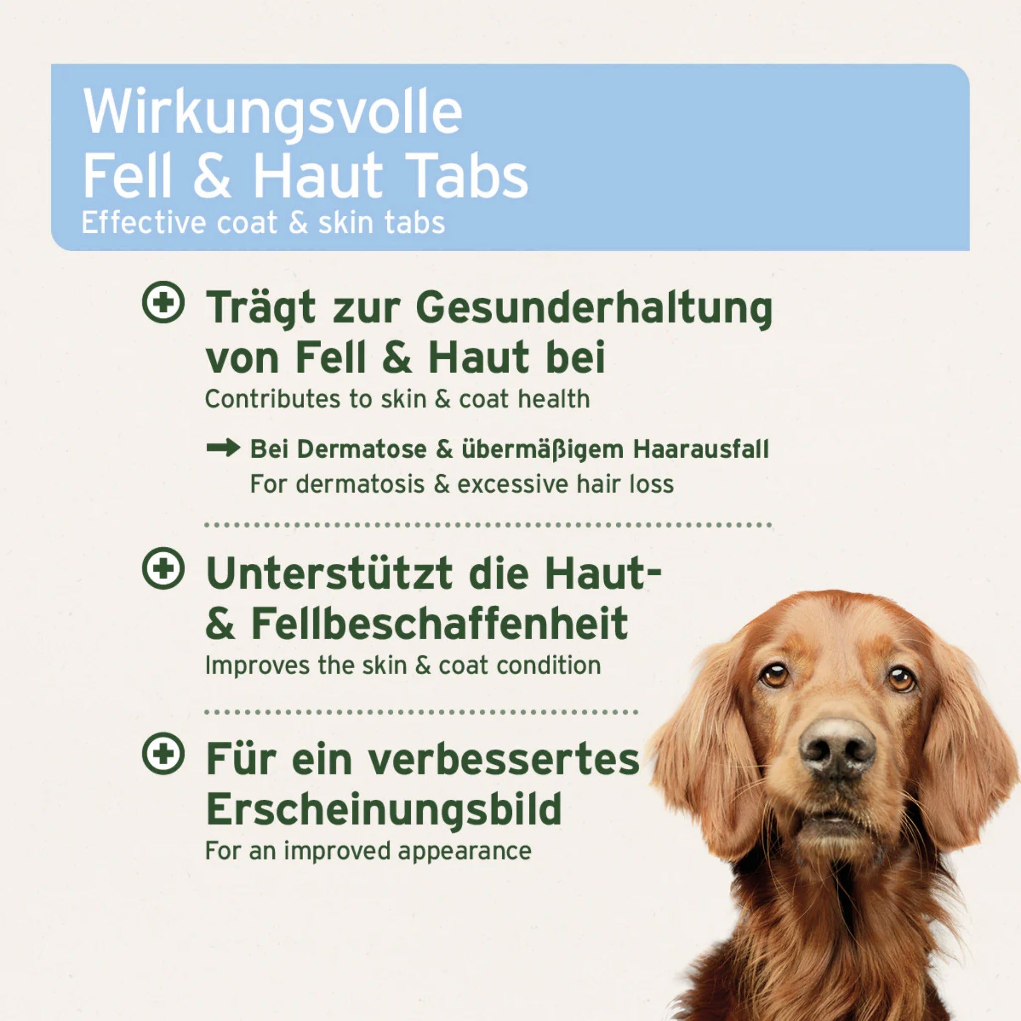 AniForte Fell & Haut Tabletten für Hunde - Woofshack