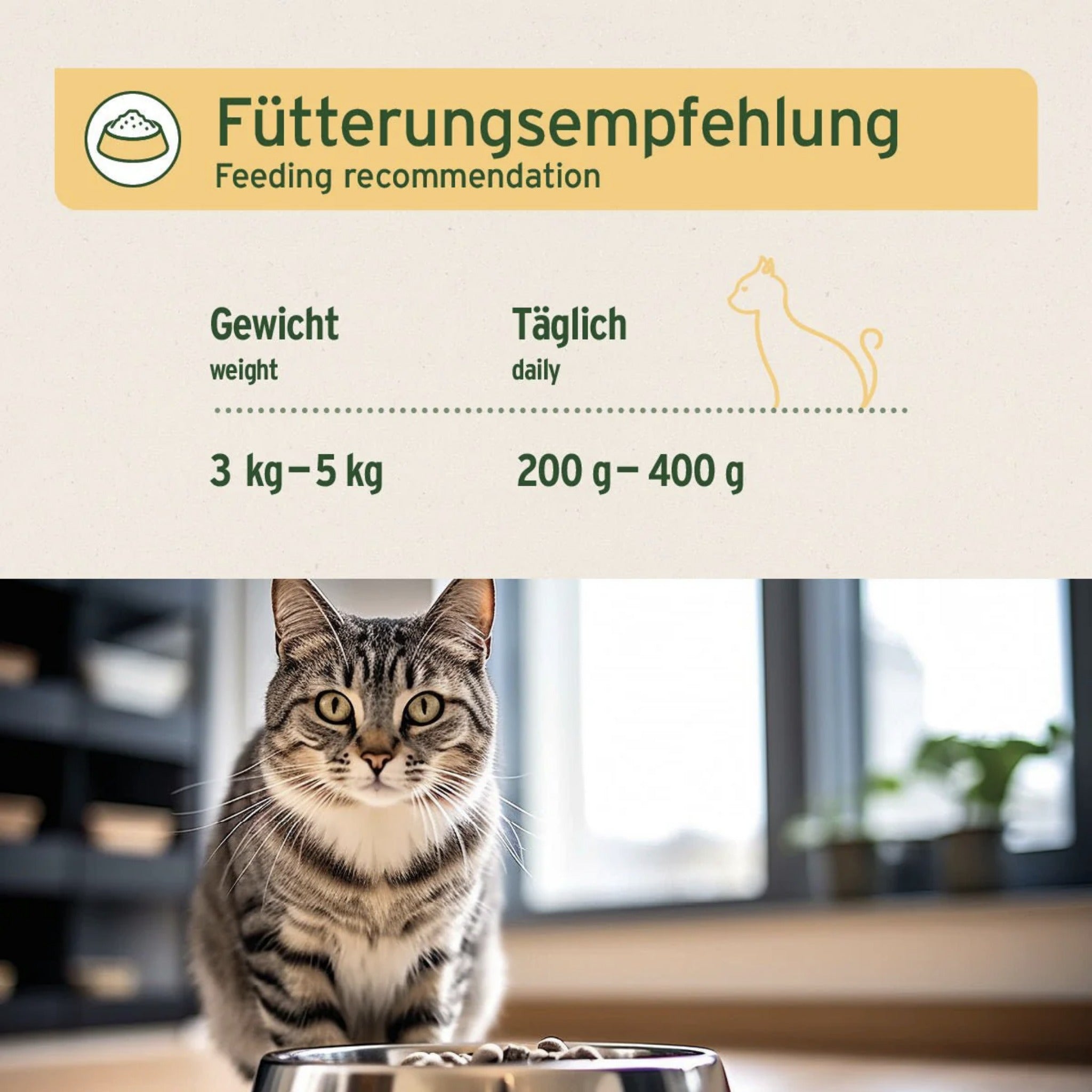 AniForte Fine Turkey Katzen Nassfutter - Woofshack