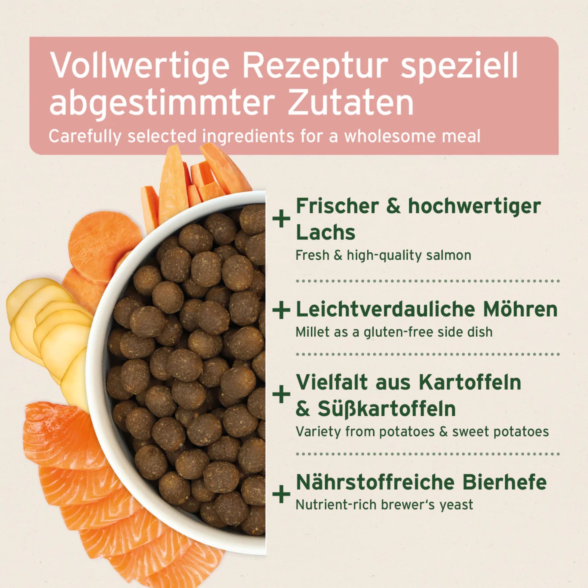 AniForte Fjord Salmon Premium Lachs Trockenfutter – Kaltgepresst & Hochverdaulich für Hunde - Woofshack