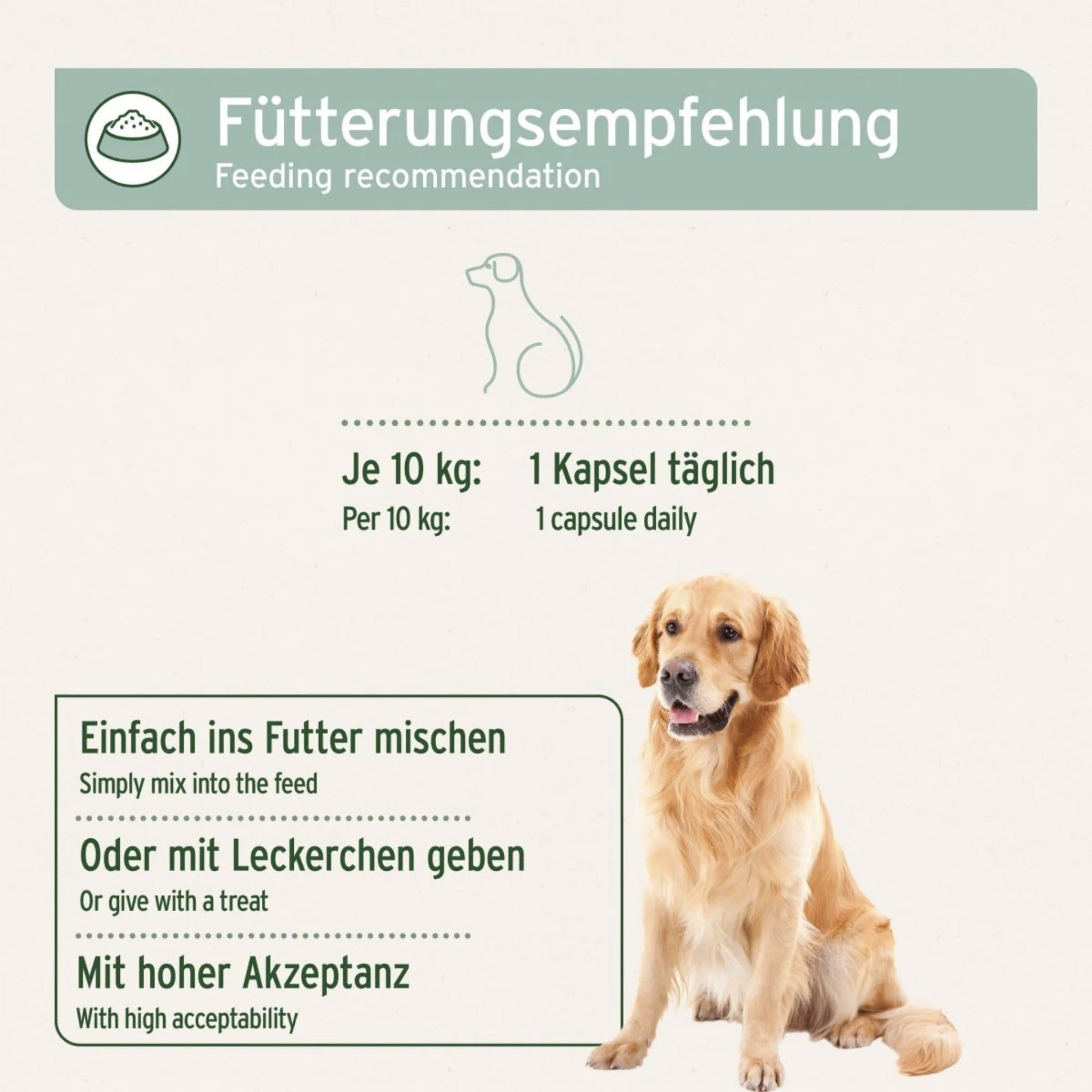 AniForte Grünlippmuschel Kapseln für Hunde