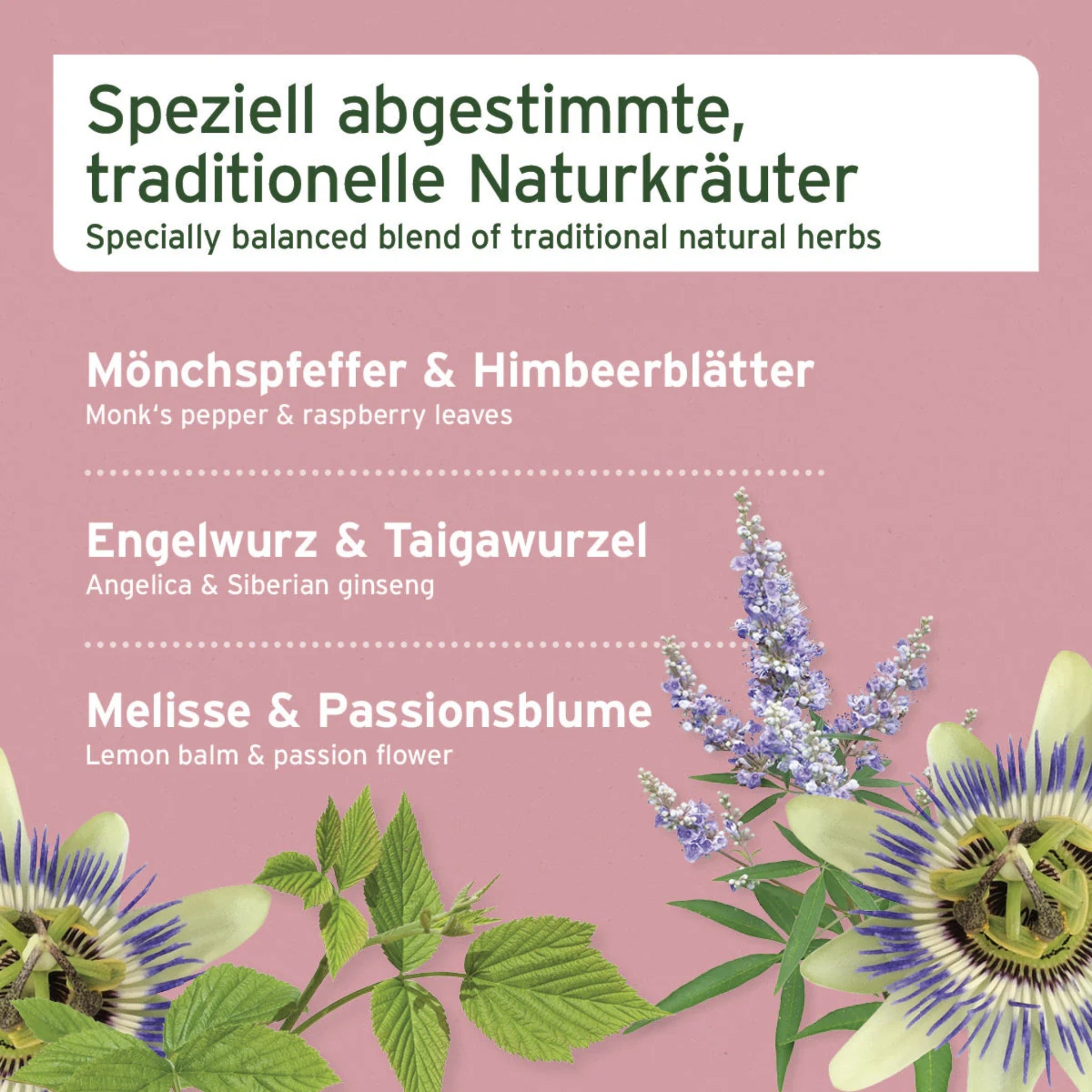 AniForte Hormon Balance für Hunde - Woofshack