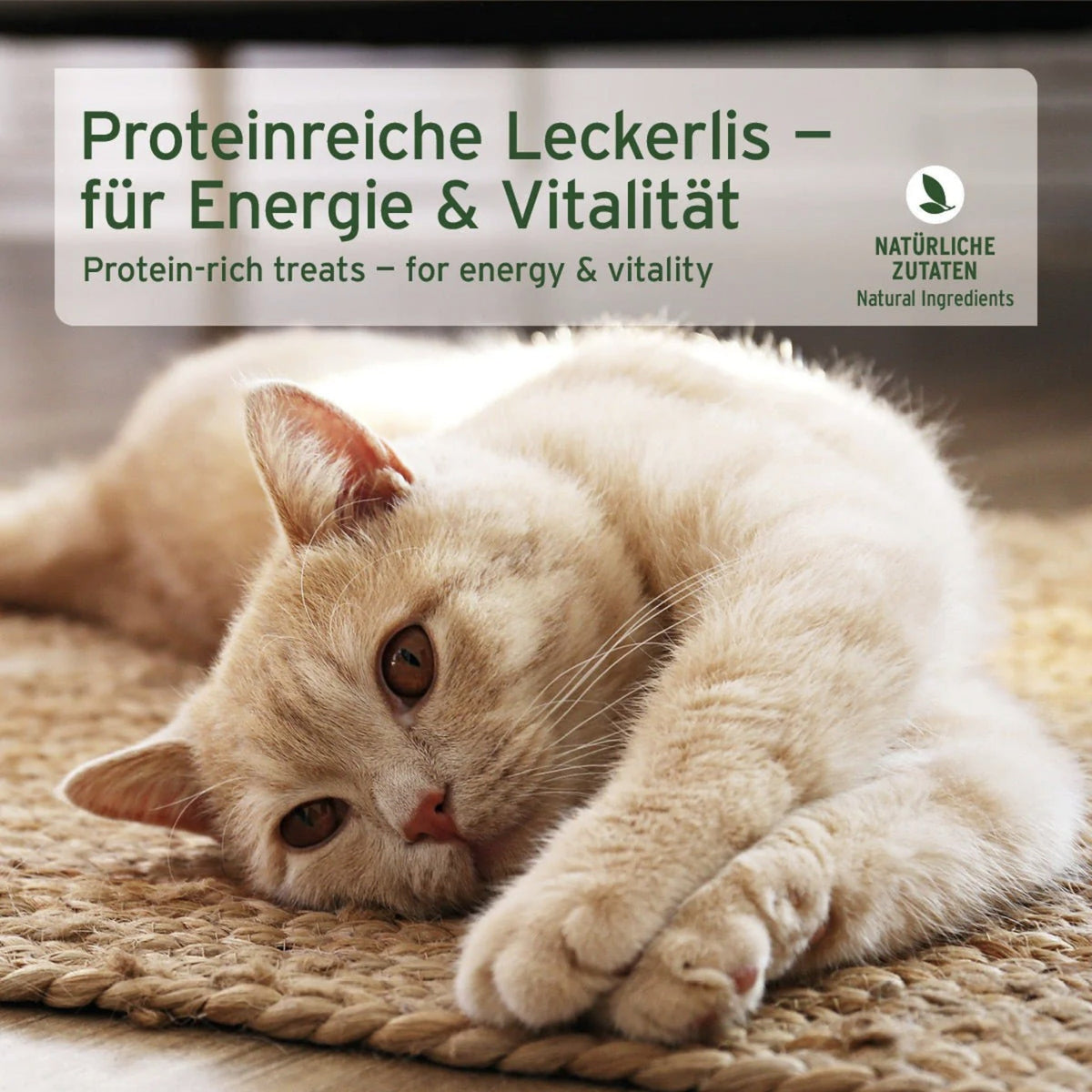 AniForte Hühnchen Snack für Katzen - Woofshack