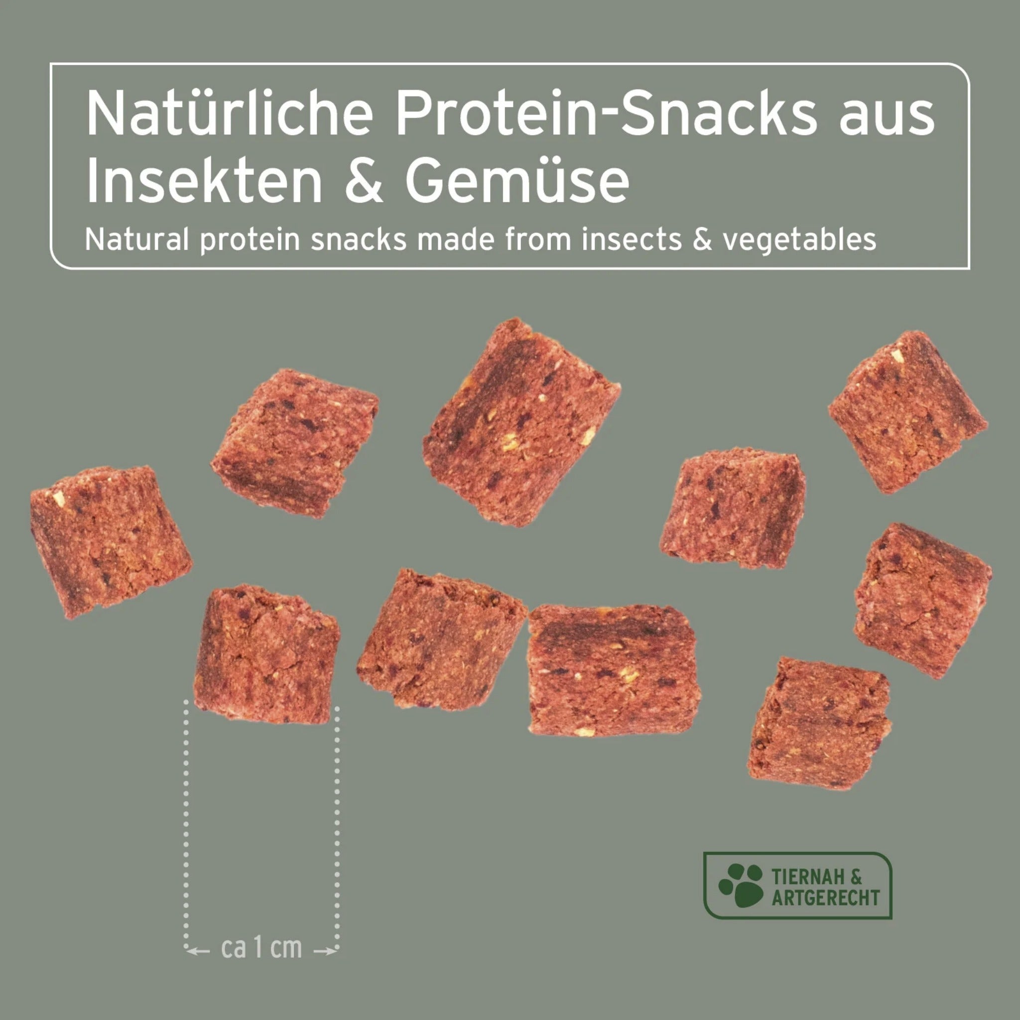 AniForte Insekten Hundesnacks - Woofshack