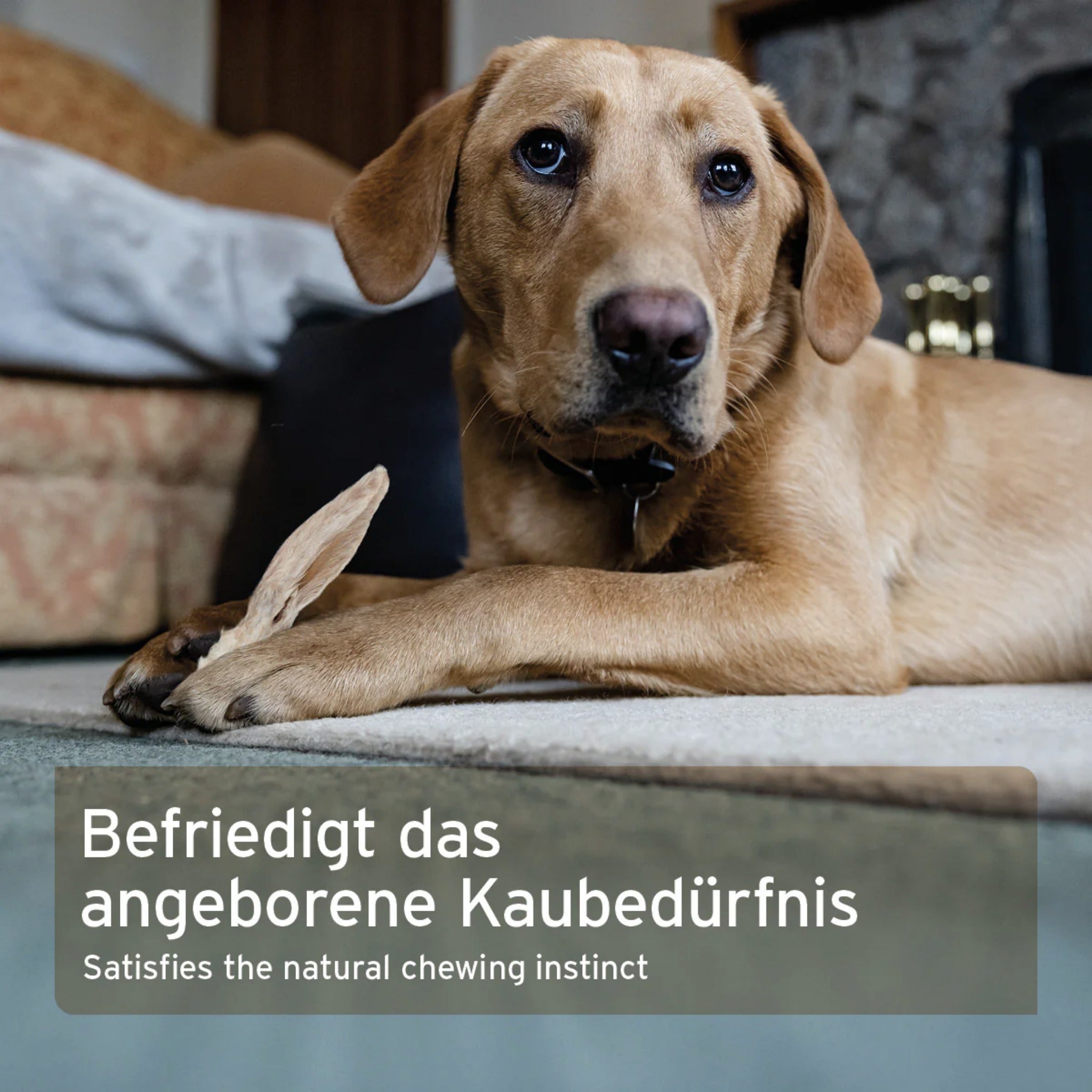 AniForte Kaninchenohren mit Fell, Hundesnack - Woofshack
