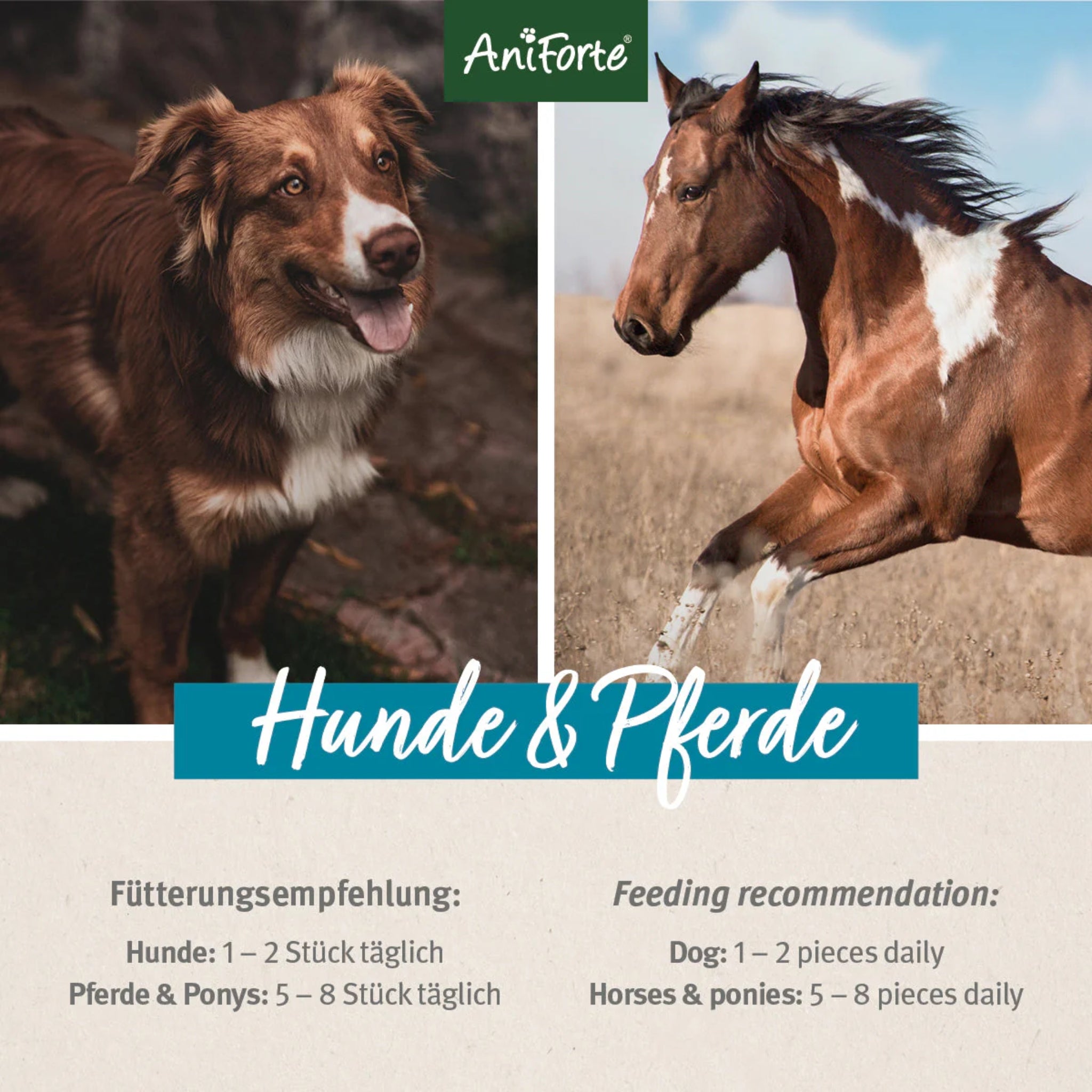 AniForte Kokos - Sticks für Hunde & Pferde - Woofshack