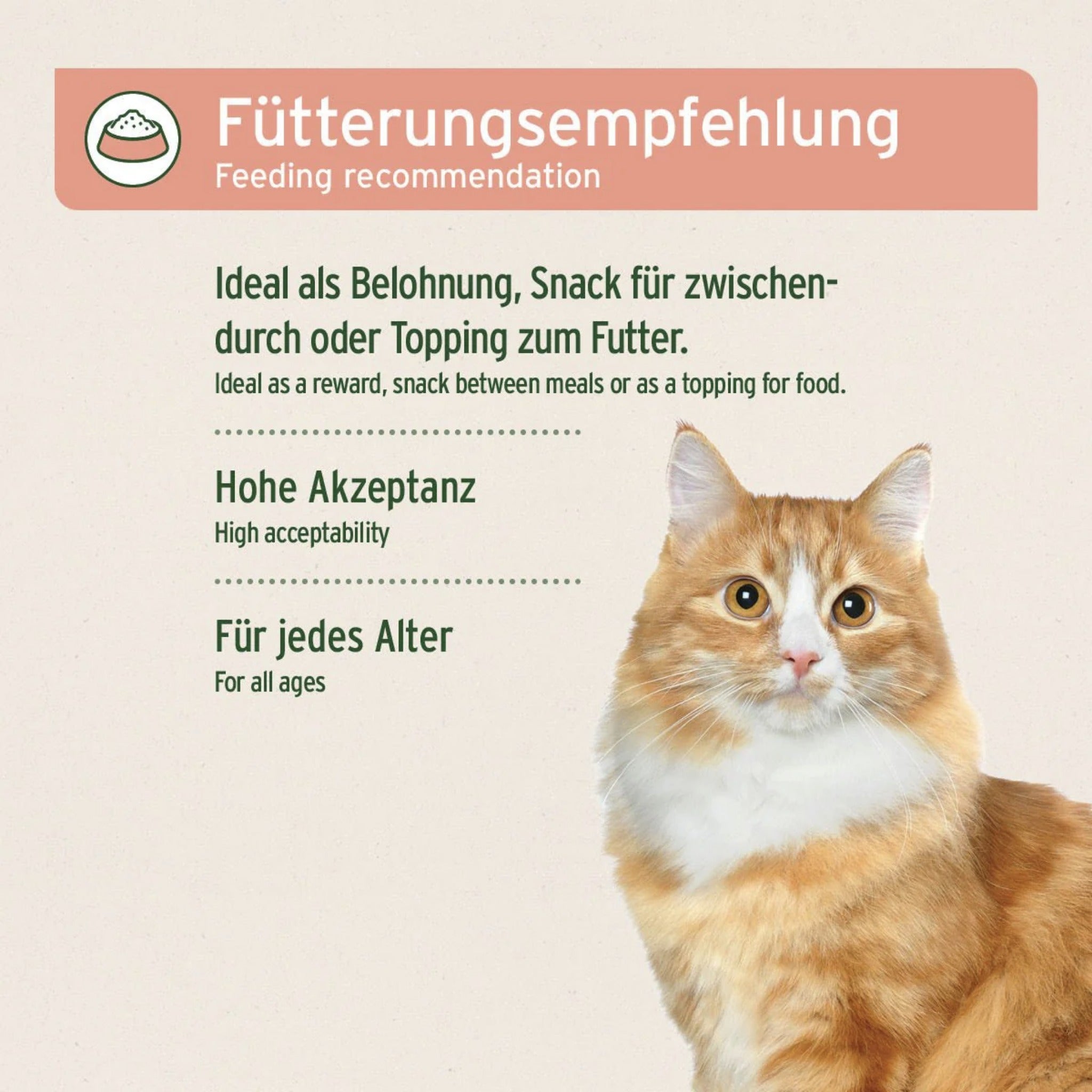 AniForte Lachs Snack für Katzen - Woofshack