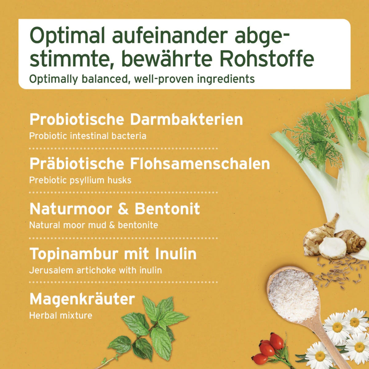 AniForte Magen & Darm Snack für Hunde - Woofshack