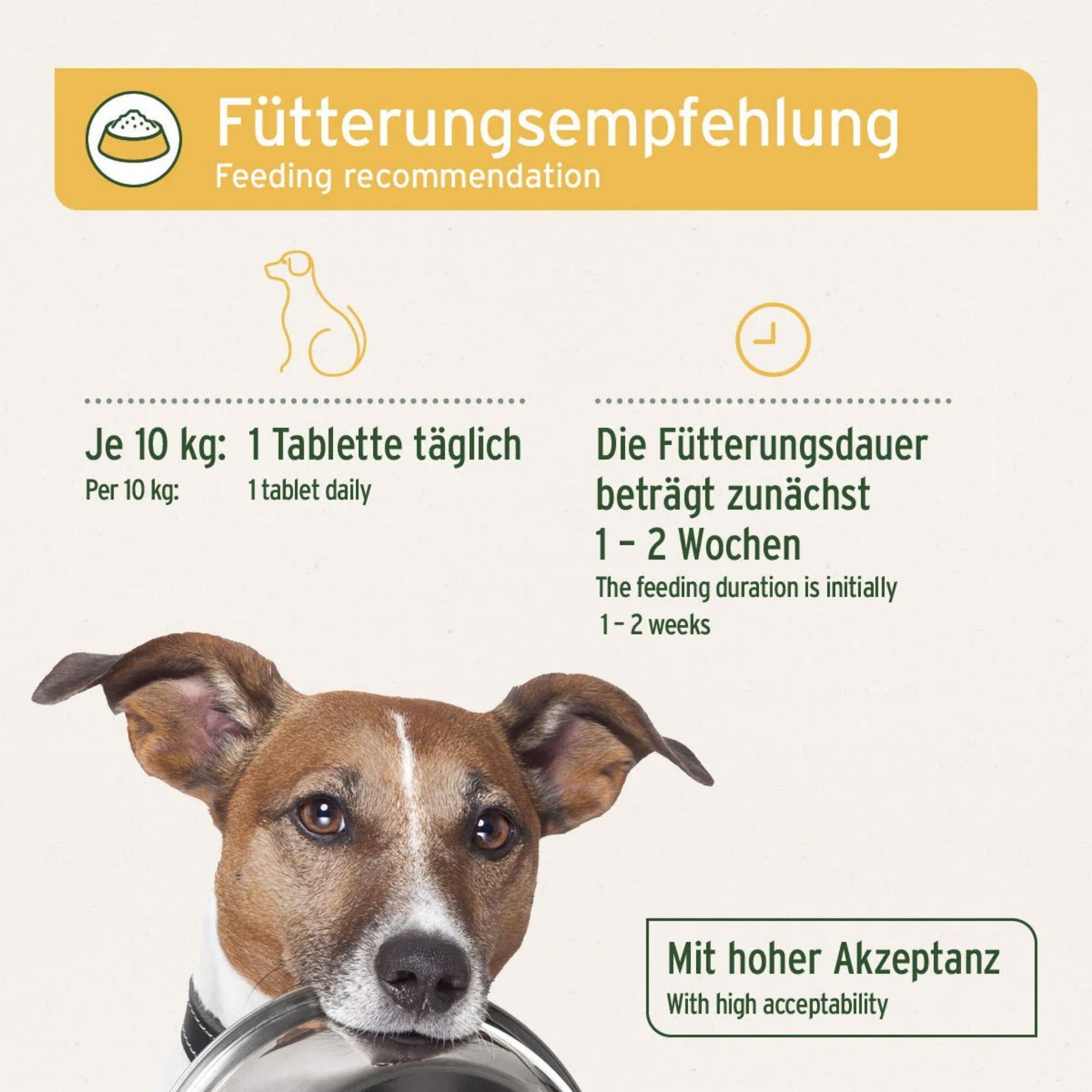 AniForte Magen & Darm Tabletten für Hunde - Woofshack