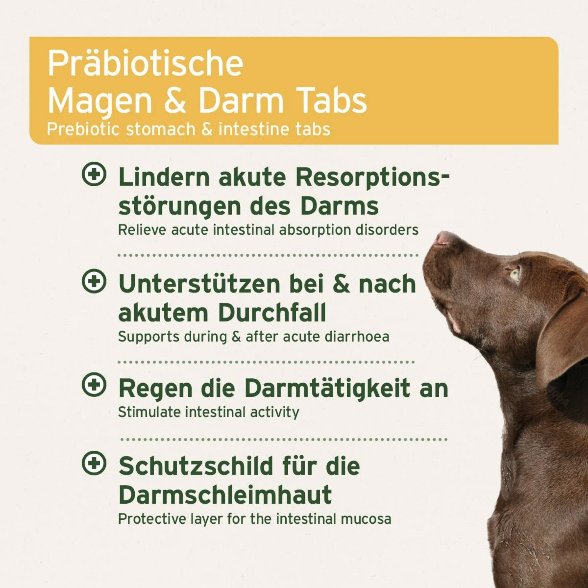 AniForte Magen & Darm Tabletten für Hunde - Woofshack