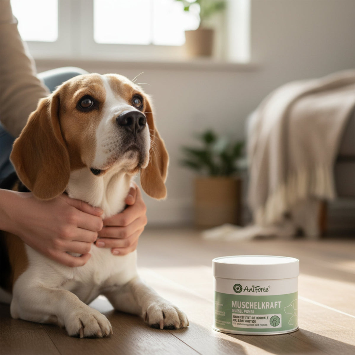 AniForte Muschelkraft Pulver – Natürliche Gelenkunterstützung für Hunde & Katzen mit Blauer Miesmuschel als Futtertopping - Woofshack