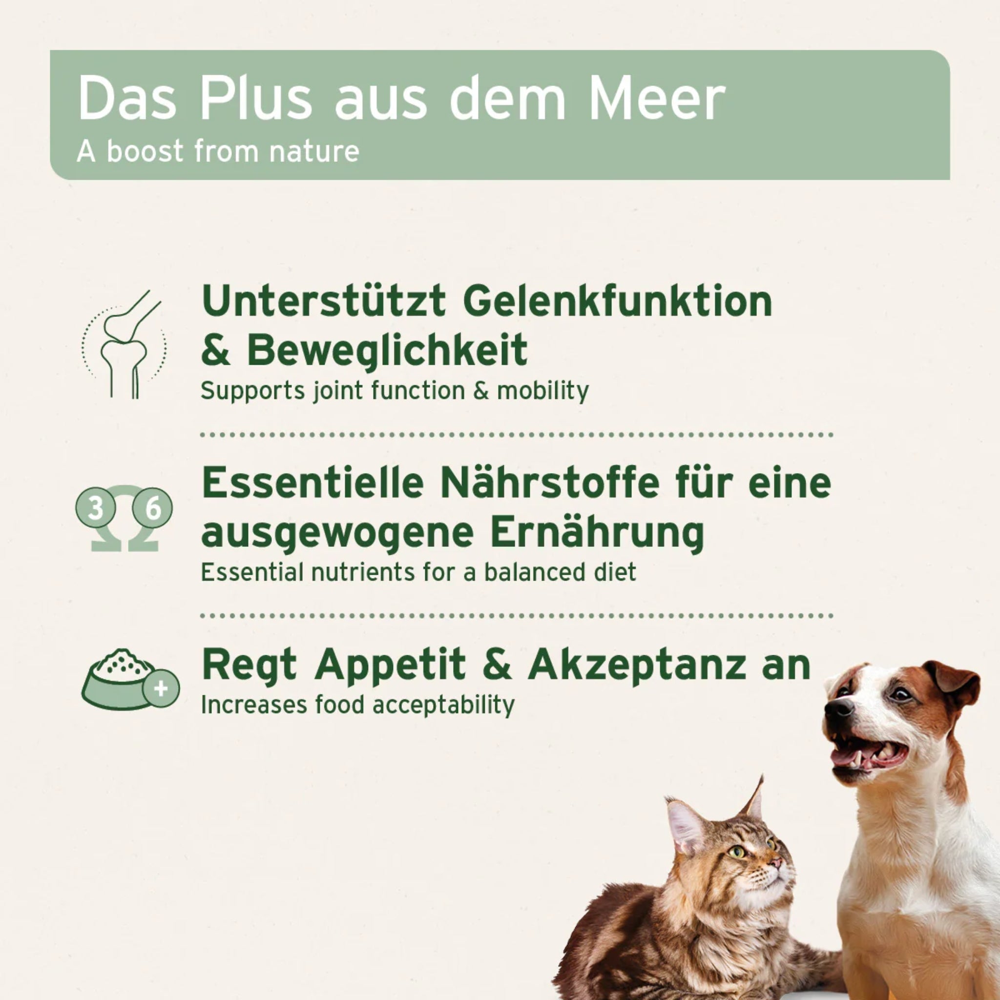 AniForte Muschelkraft Pulver – Natürliche Gelenkunterstützung für Hunde & Katzen mit Blauer Miesmuschel als Futtertopping - Woofshack