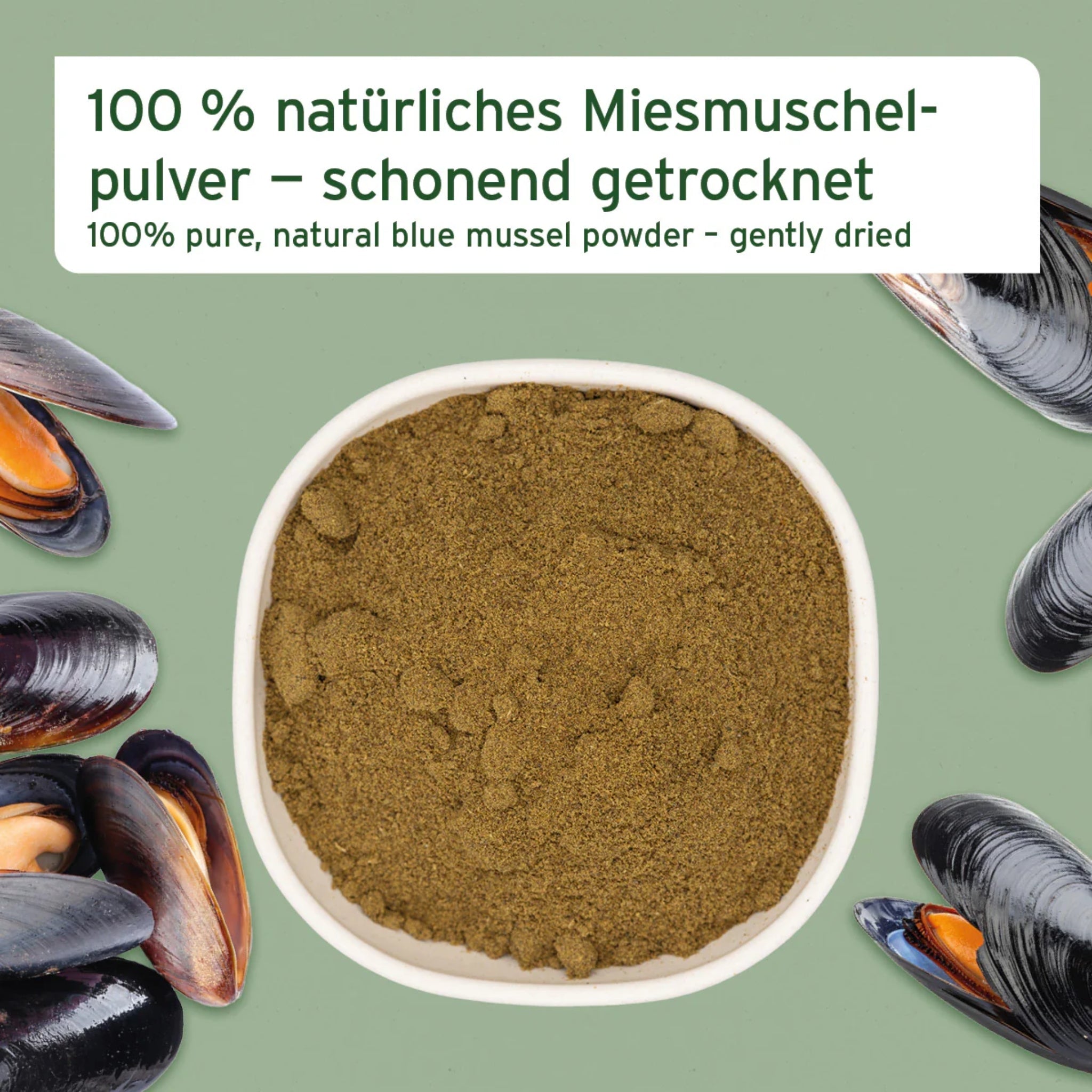 AniForte Muschelkraft Pulver – Natürliche Gelenkunterstützung für Hunde & Katzen mit Blauer Miesmuschel als Futtertopping - Woofshack