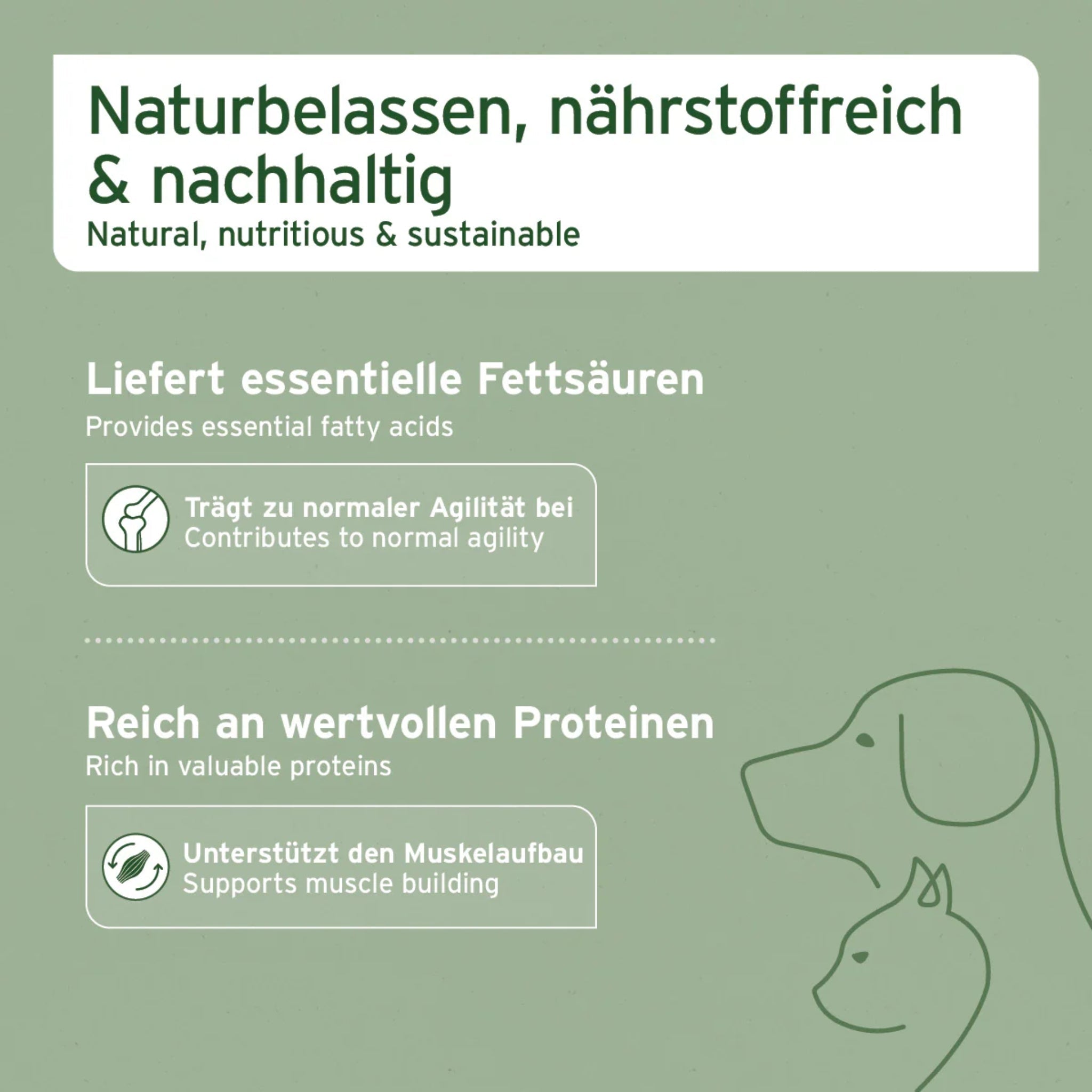 AniForte Muschelkraft Pulver – Natürliche Gelenkunterstützung für Hunde & Katzen mit Blauer Miesmuschel als Futtertopping - Woofshack