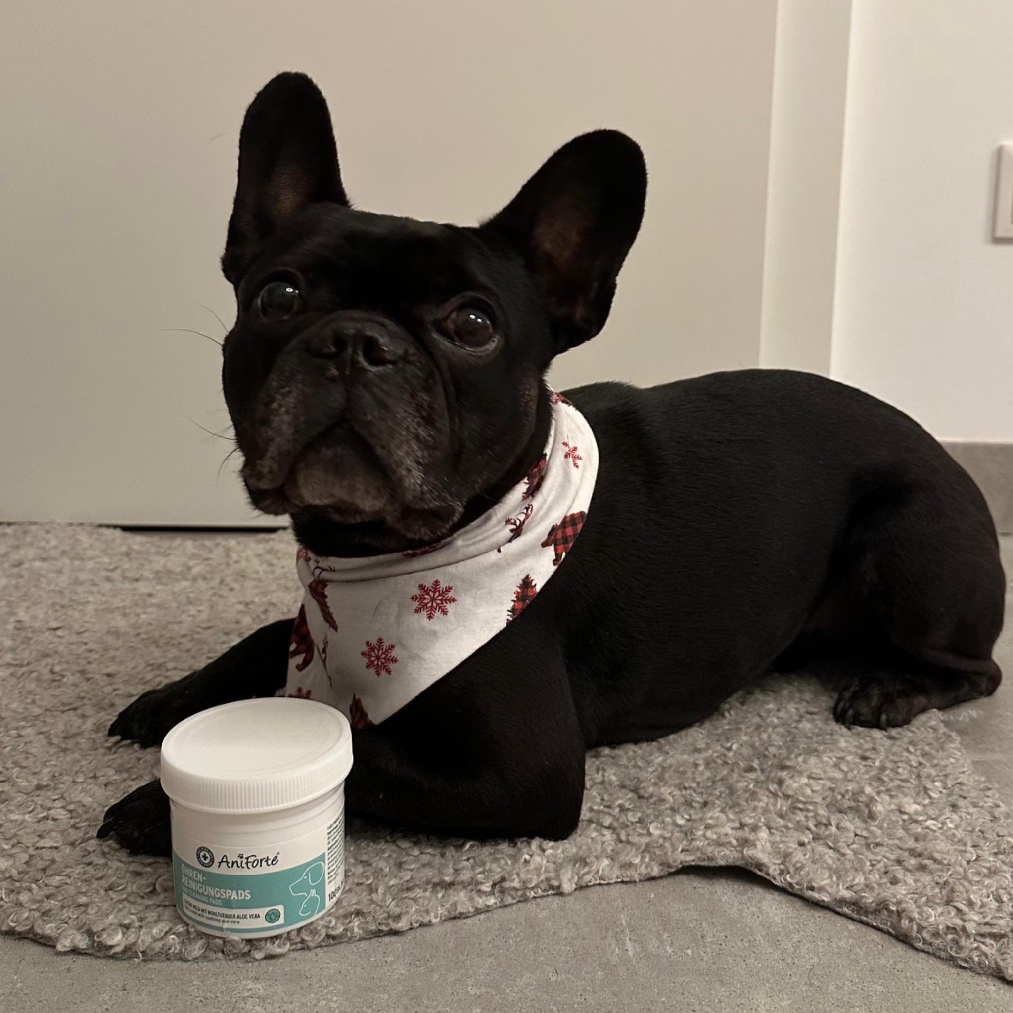 AniForte Ohren - Reinigungspads - Woofshack