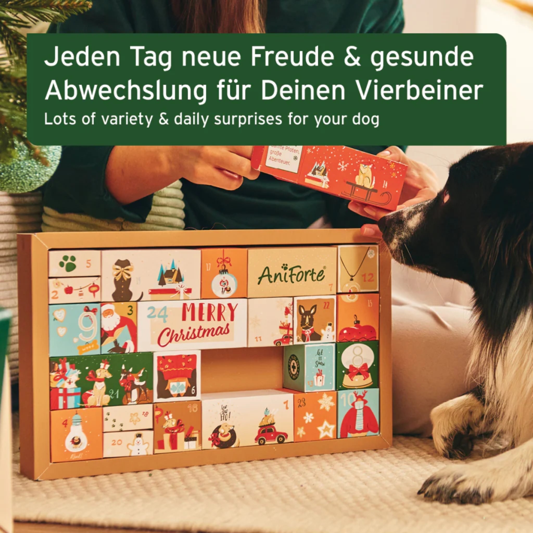 AniForte Premium Adventskalender für Hunde - Woofshack