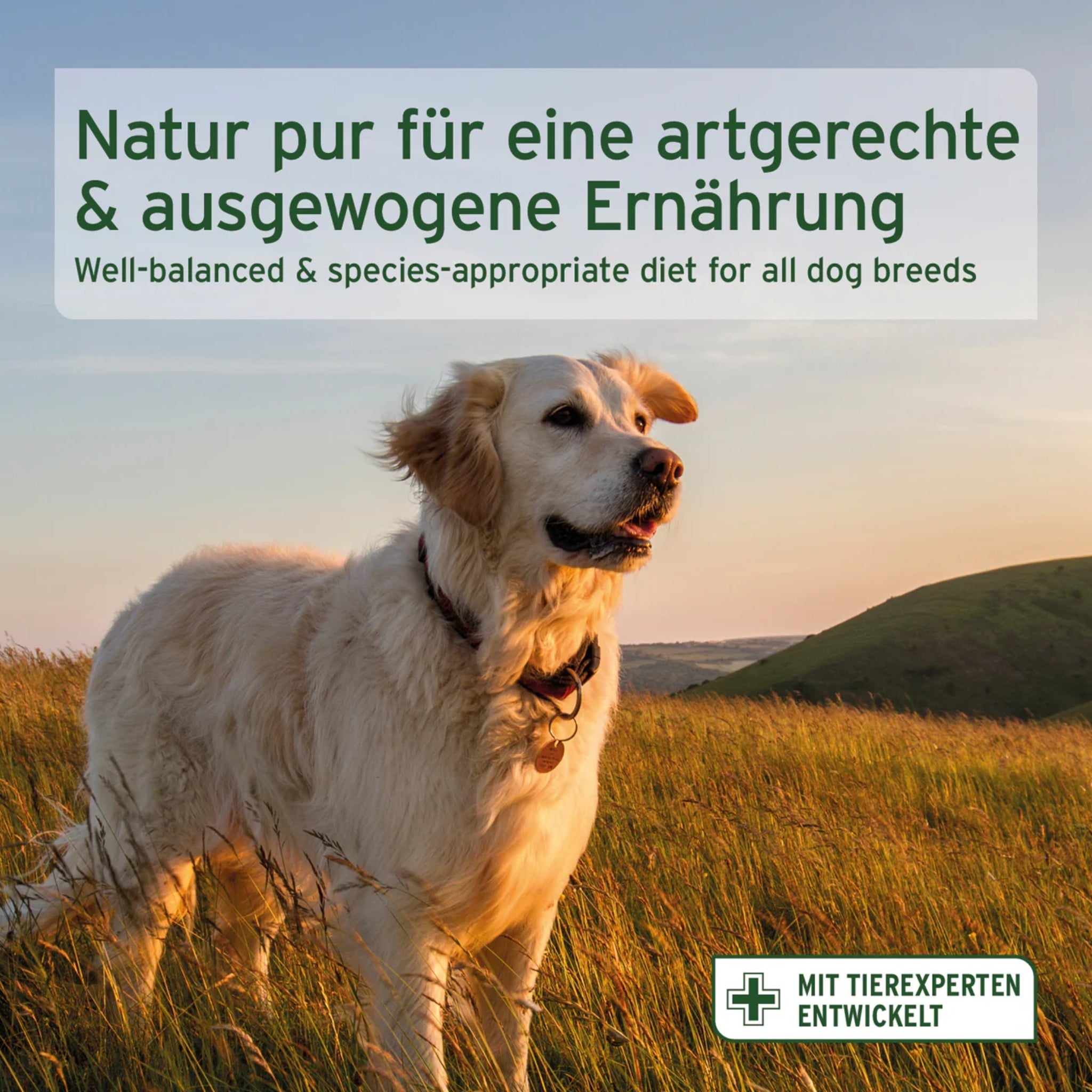 AniForte Pure Nature Country Beef Trockenfutter für Hunde – Getreidefrei, Reich an Omega - 3, Ideal für Allergiker - Woofshack