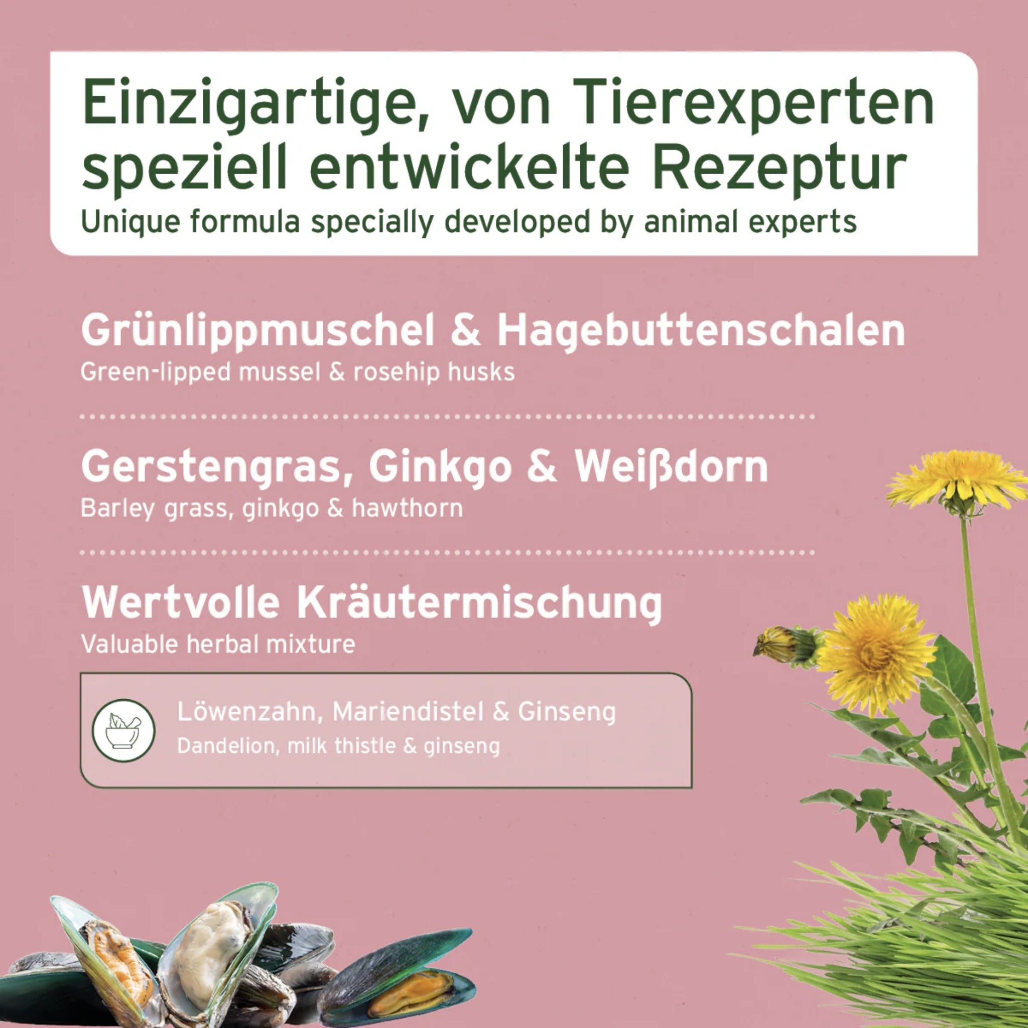 AniForte Senior Active für Hunde - Woofshack