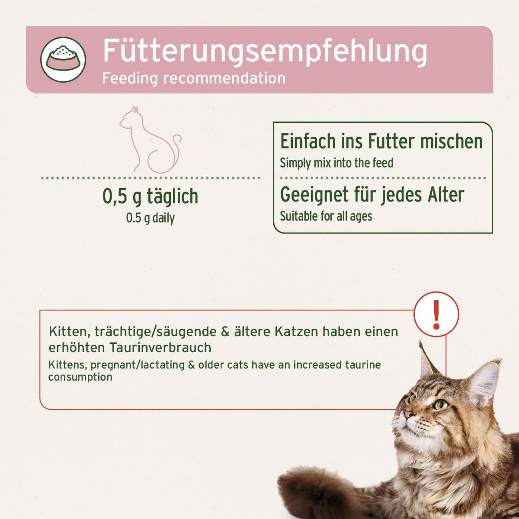 AniForte Taurin Pulver für Katzen - Woofshack