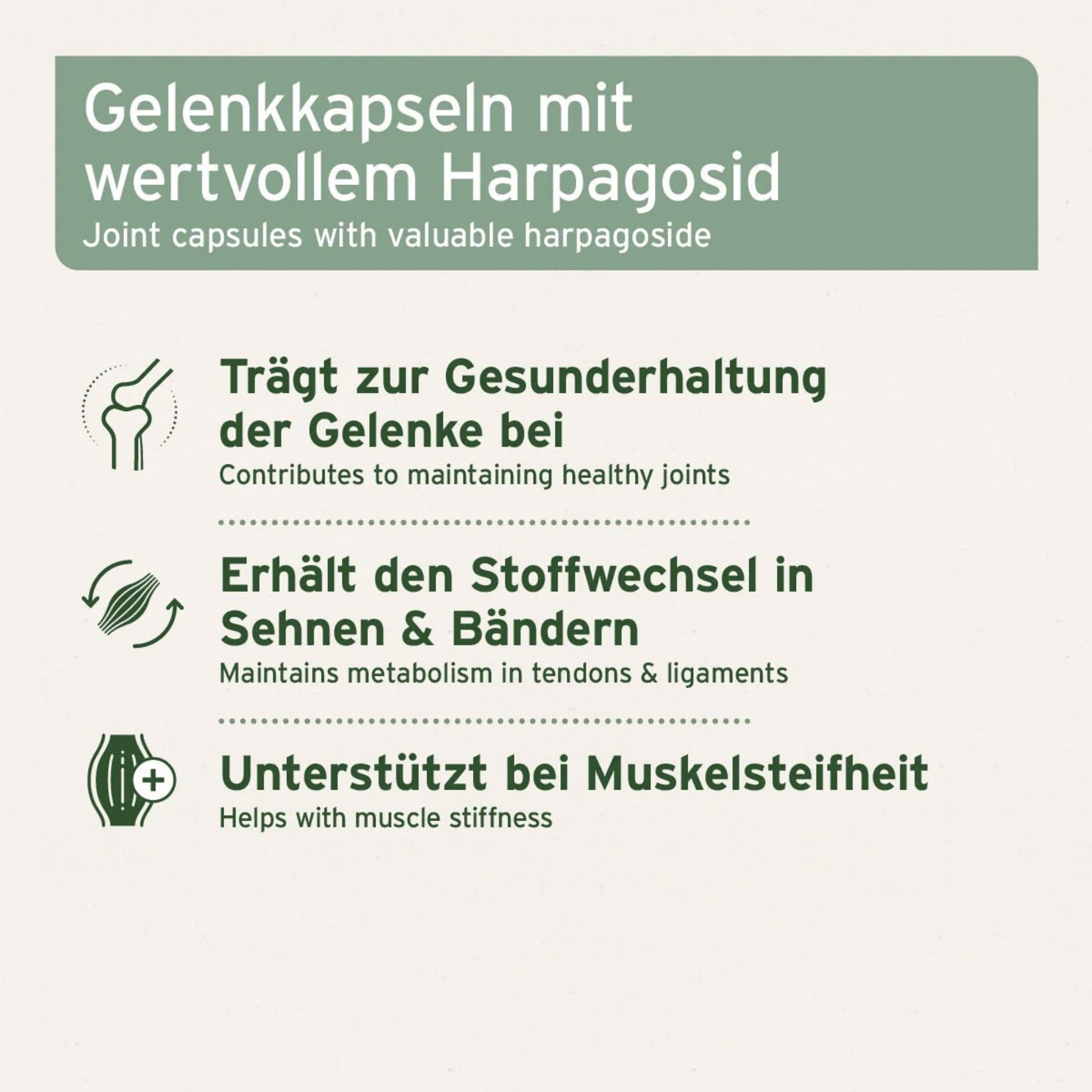 AniForte Teufelskralle Kapseln für Hunde