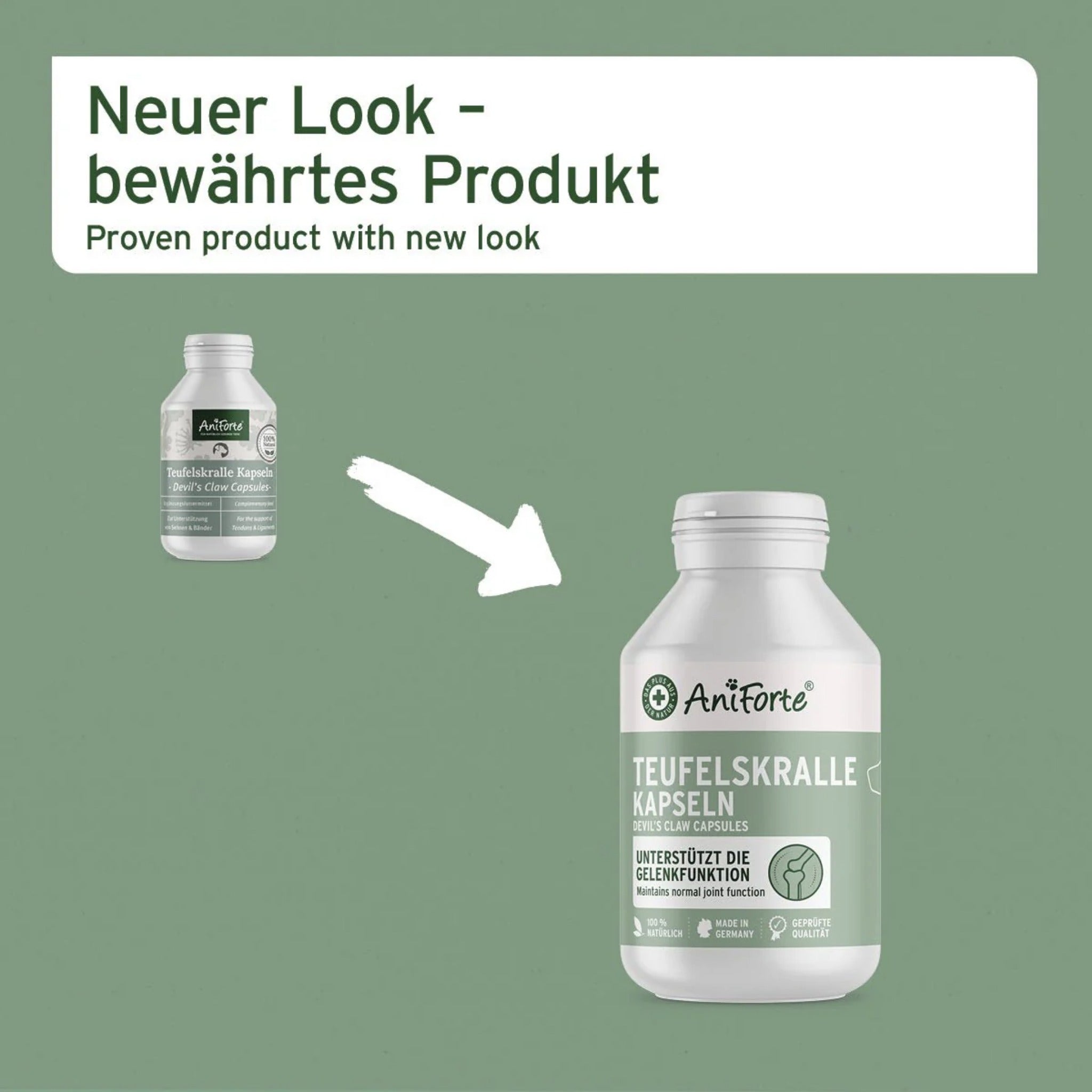 AniForte Teufelskralle Kapseln für Hunde - Woofshack