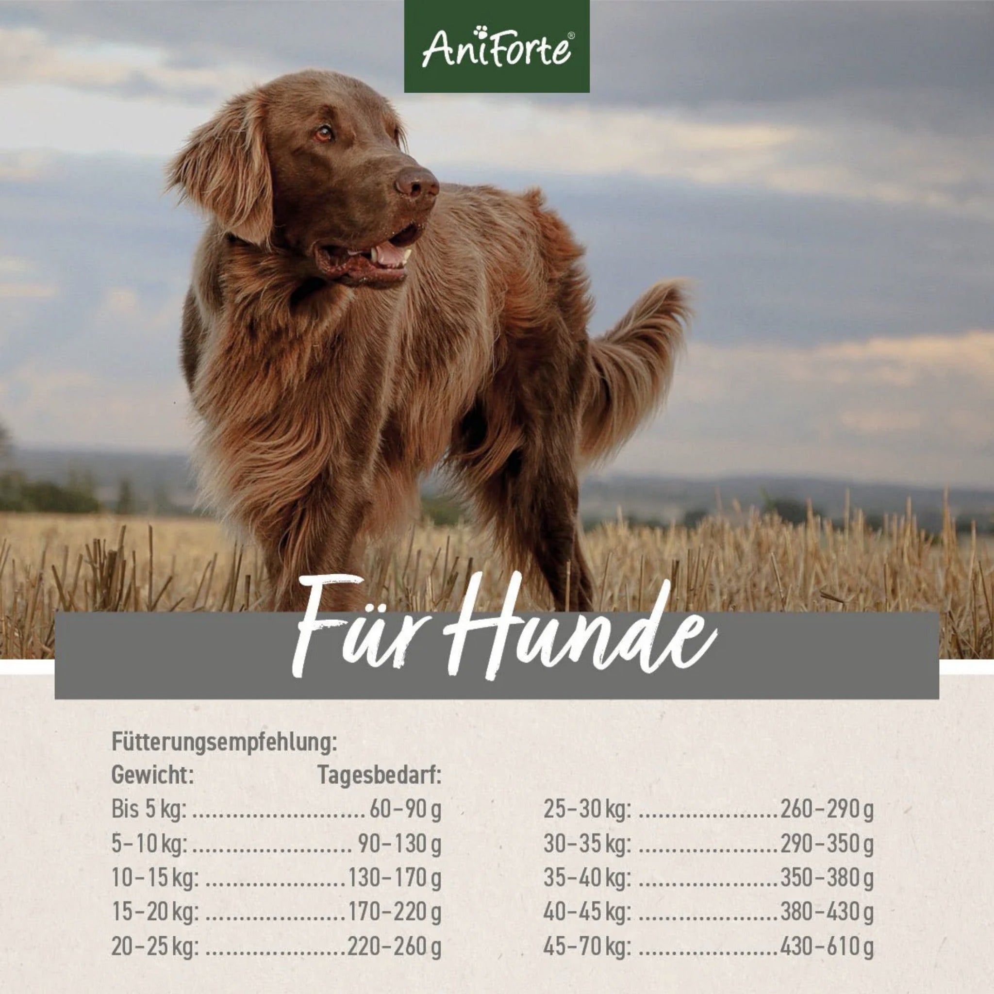 AniForte Trockenfutter Huhn für Hunde - Woofshack