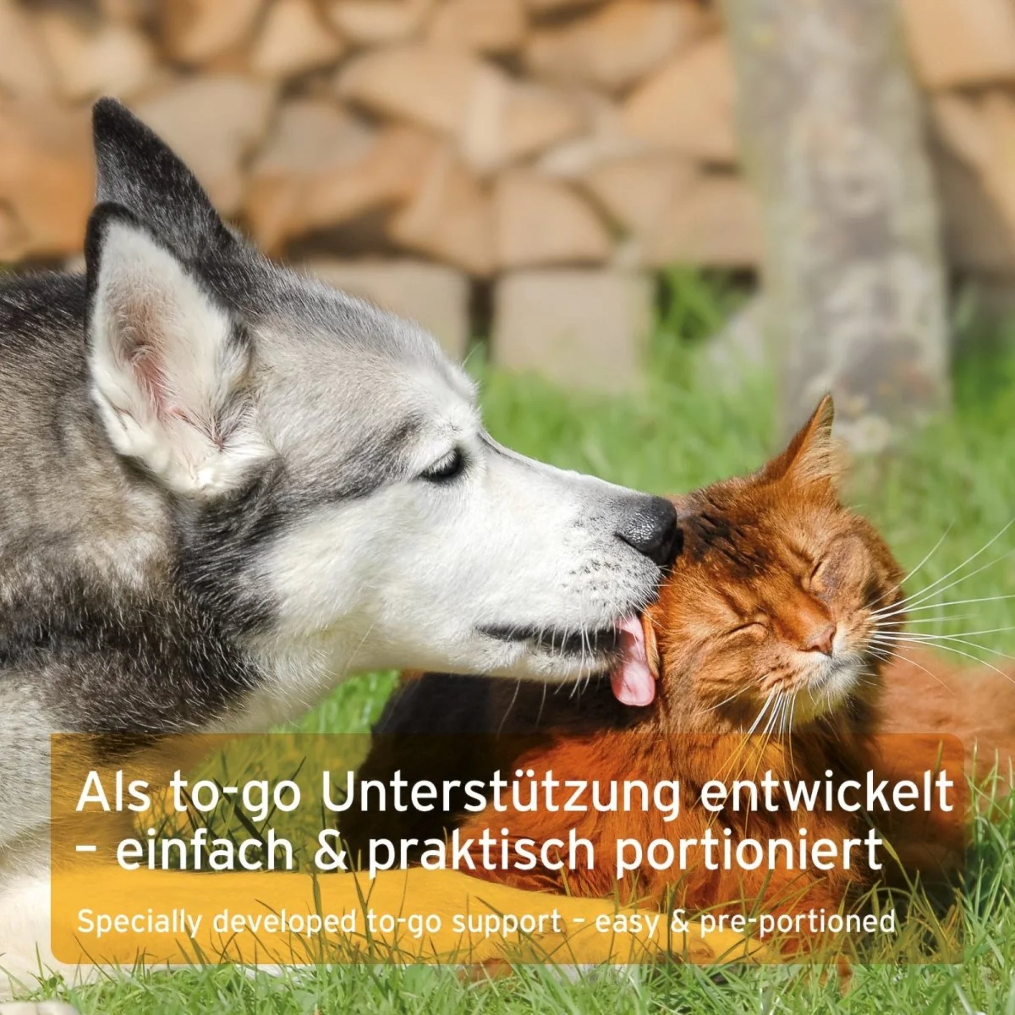 AniForte Ulmenrinde Liquid für Hunde & Katzen – Natürliche Unterstützung bei Magen - Darm - Beschwerden, Sodbrennen & Durchfall - Woofshack