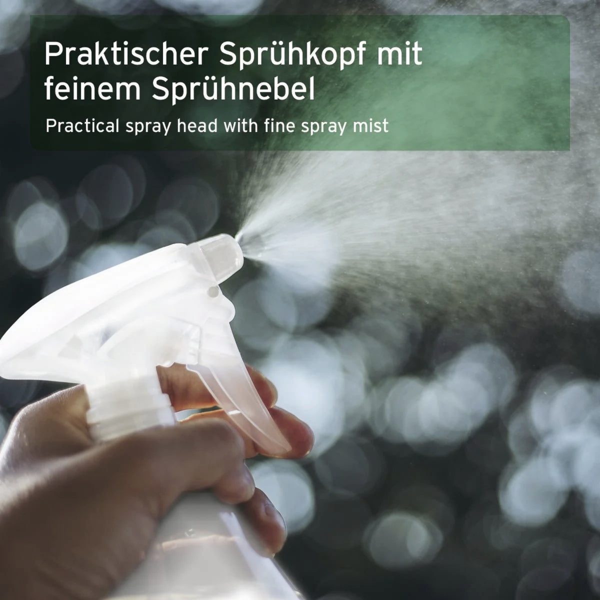 AniForte Ungeziefer-EX Spray für Hunde – Natürlicher Schutz gegen Flöhe, Zecken & Milben für Fell, Körbchen & Textilien