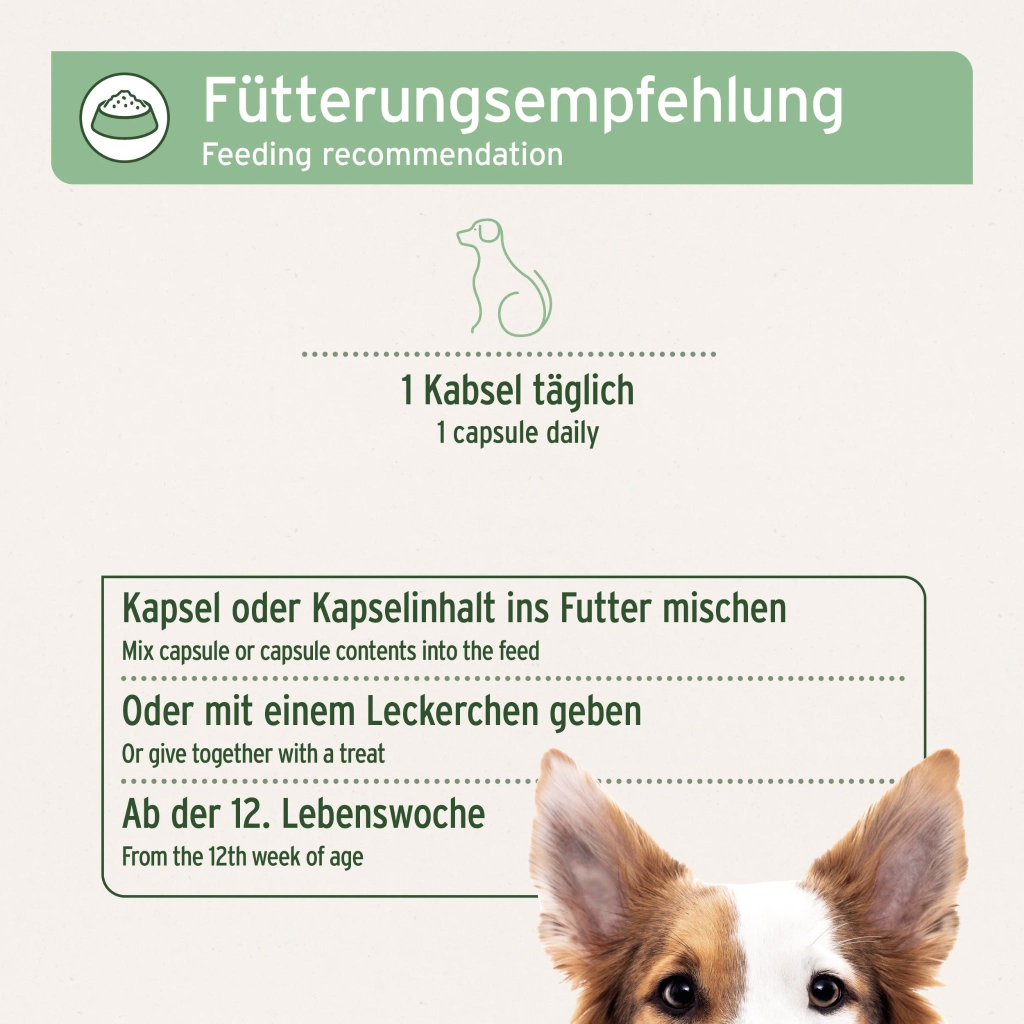 AniForte ZeckenSchild Kapseln für Hunde – Natürlicher Zeckenschutz mit Bierhefe & Vitamin B-Komplex für starke Hautbarriere und Abwehrkraft