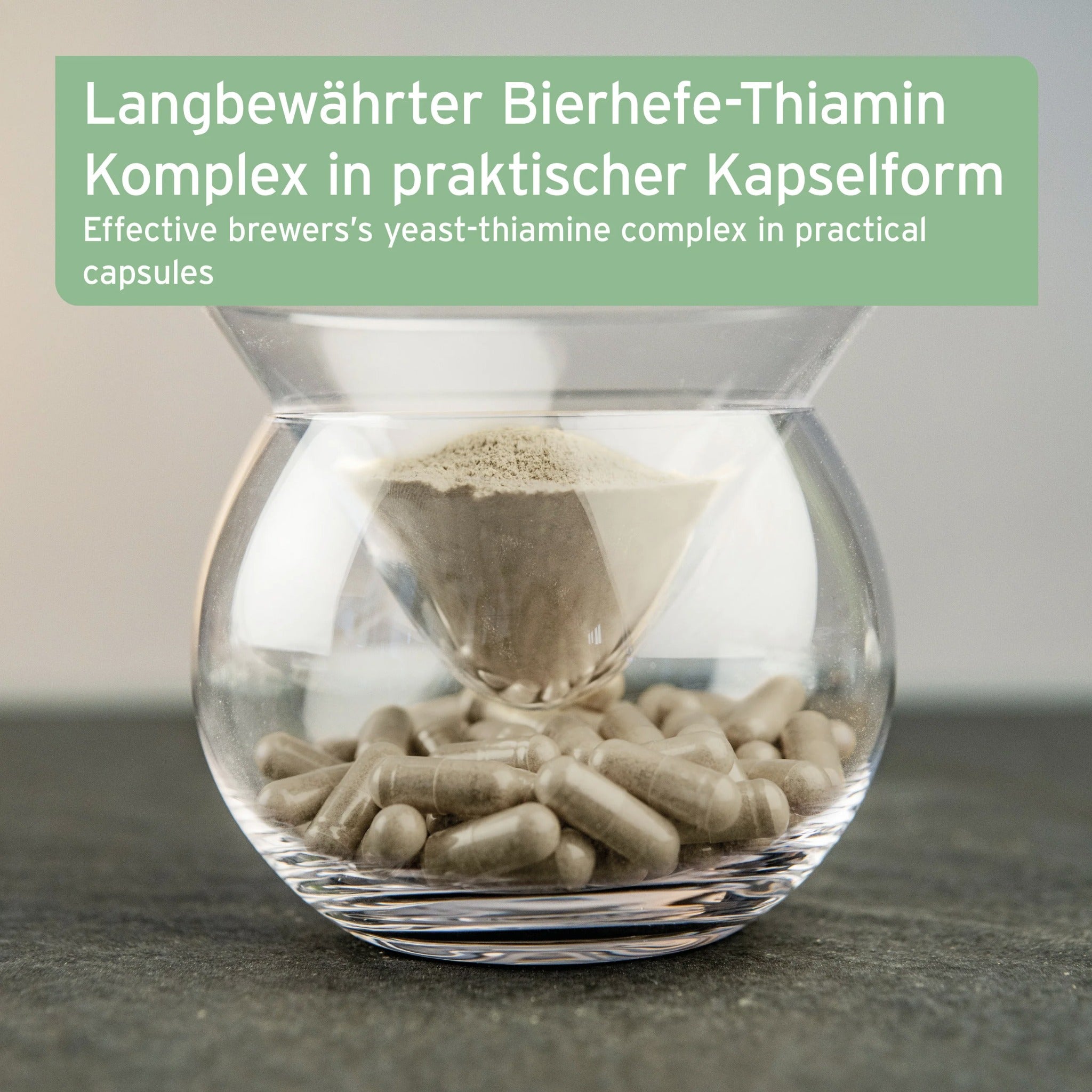AniForte ZeckenSchild Kapseln für Hunde – Natürlicher Zeckenschutz mit Bierhefe & Vitamin B-Komplex für starke Hautbarriere und Abwehrkraft