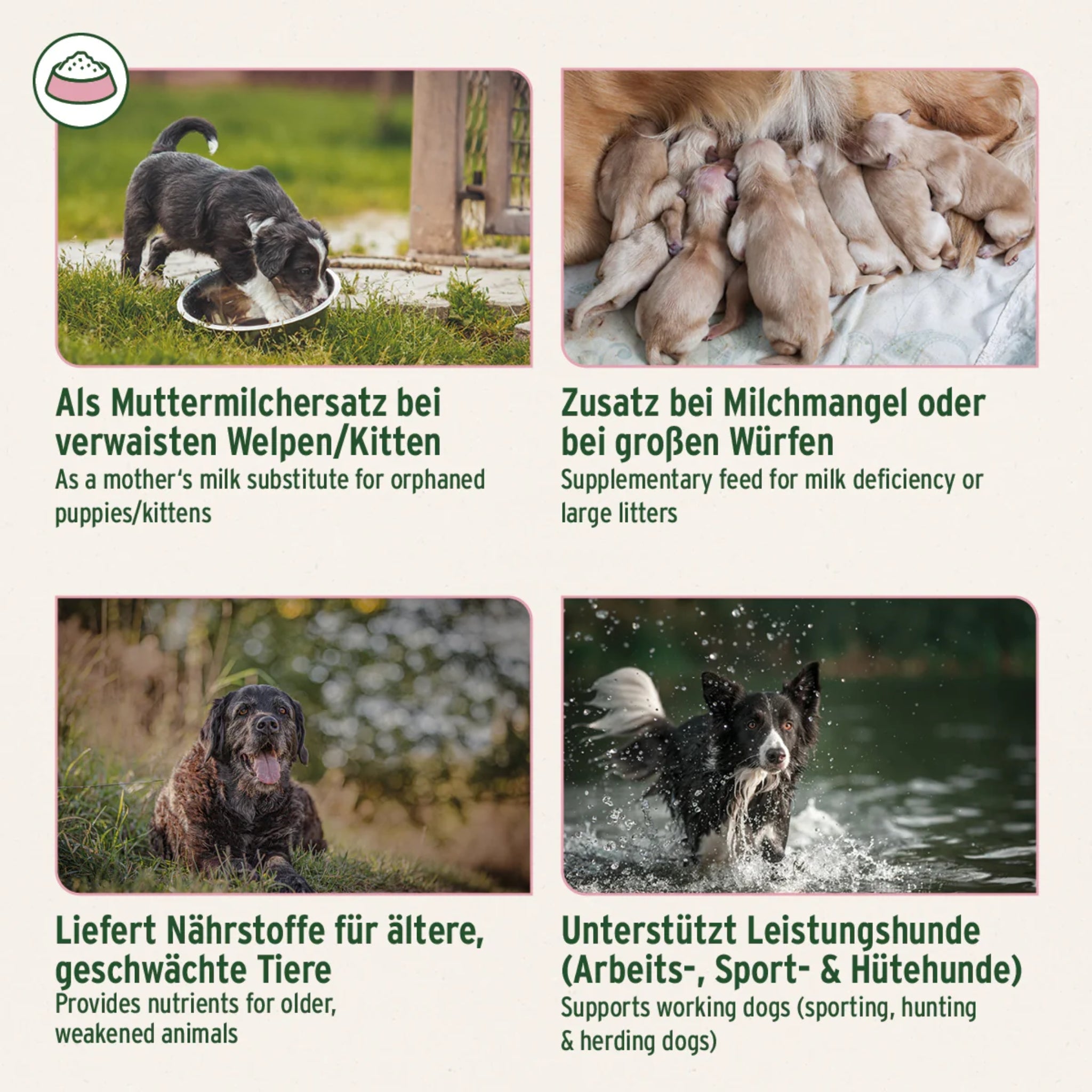 AniForte Ziegenmilch Pulver für Hunde & Katzen - Natürliche Aufzucht & Verdauung - Woofshack