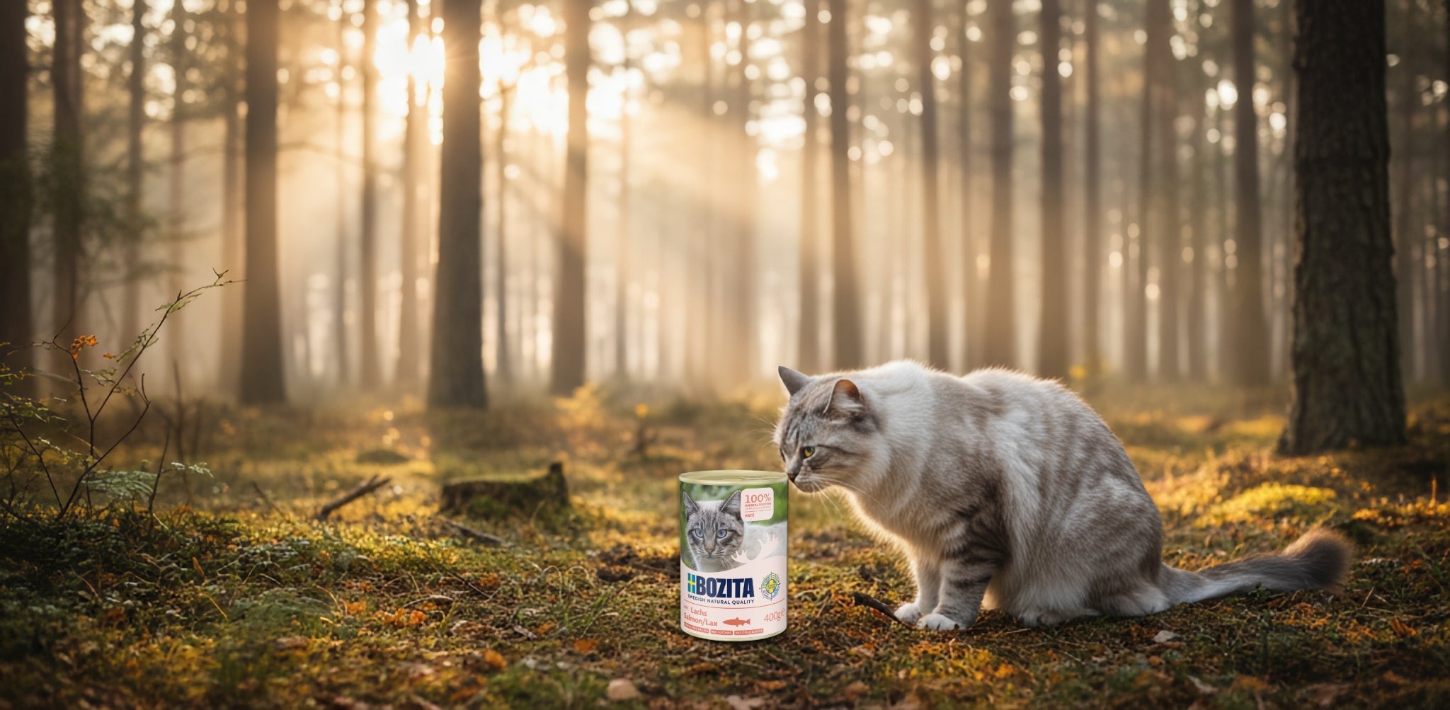 Bozita Katzenfutter