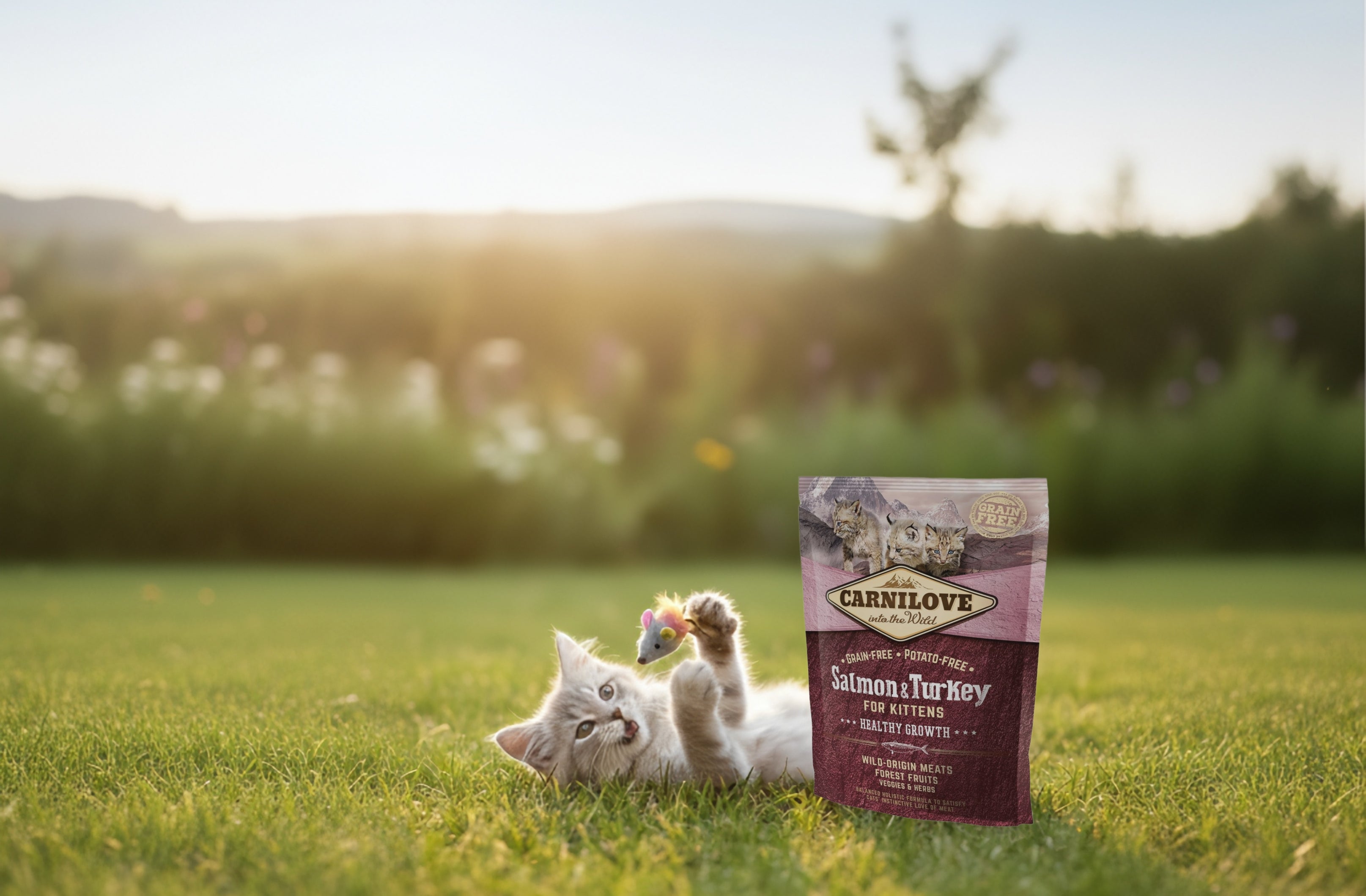 Carnilove Katzenfutter