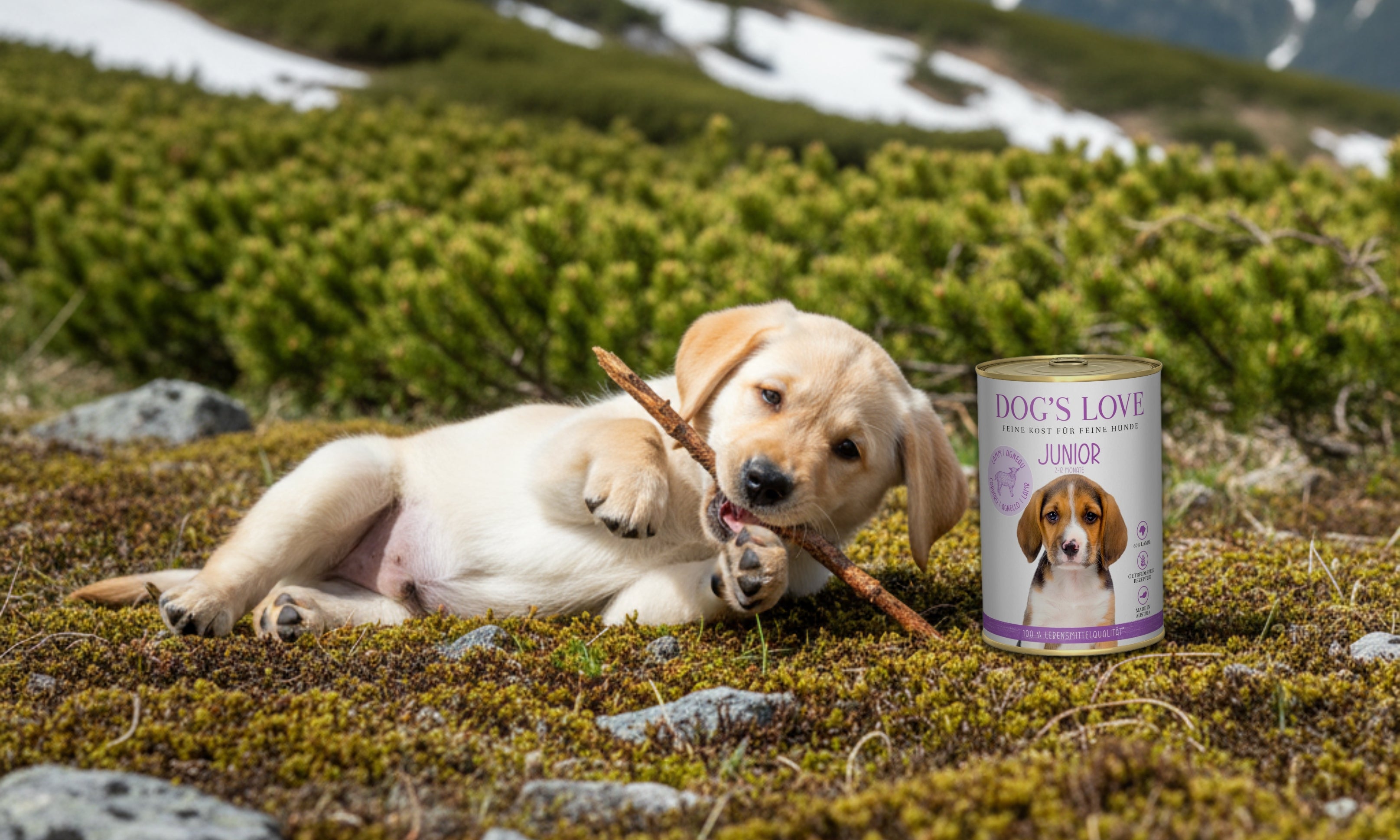 Dog's Love Hundefutter