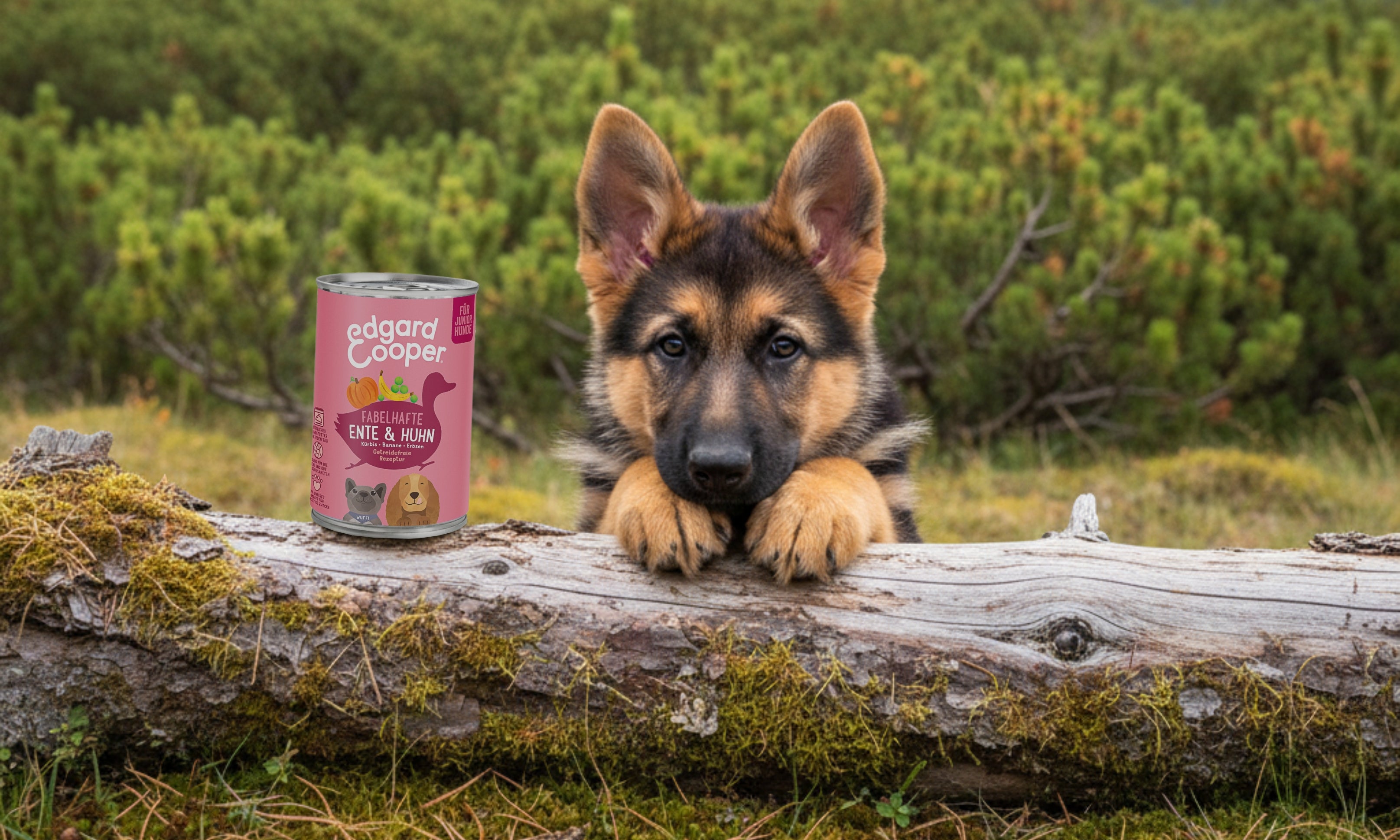 Edgard & Cooper Hundefutter