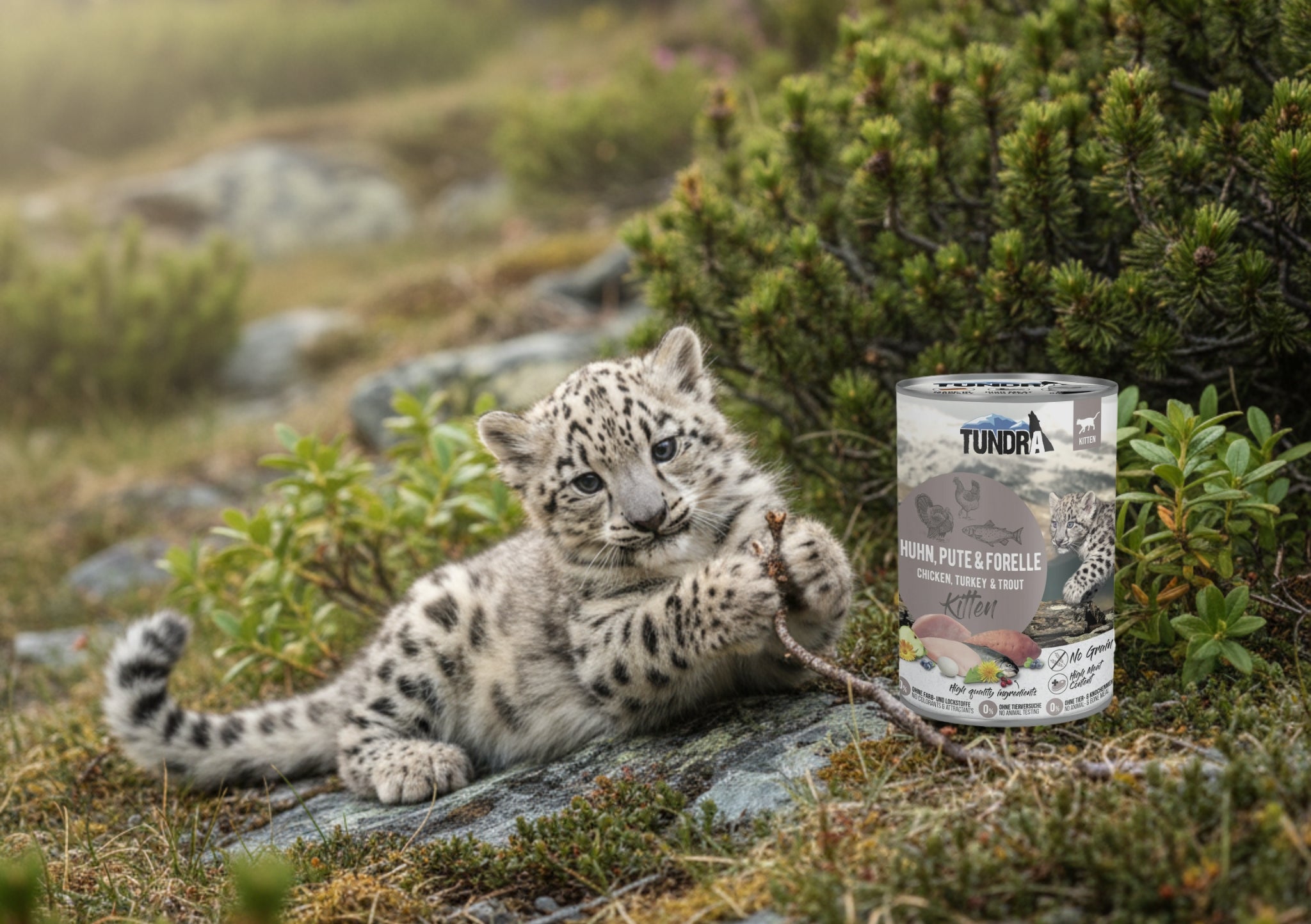 Tundra Katzenfutter