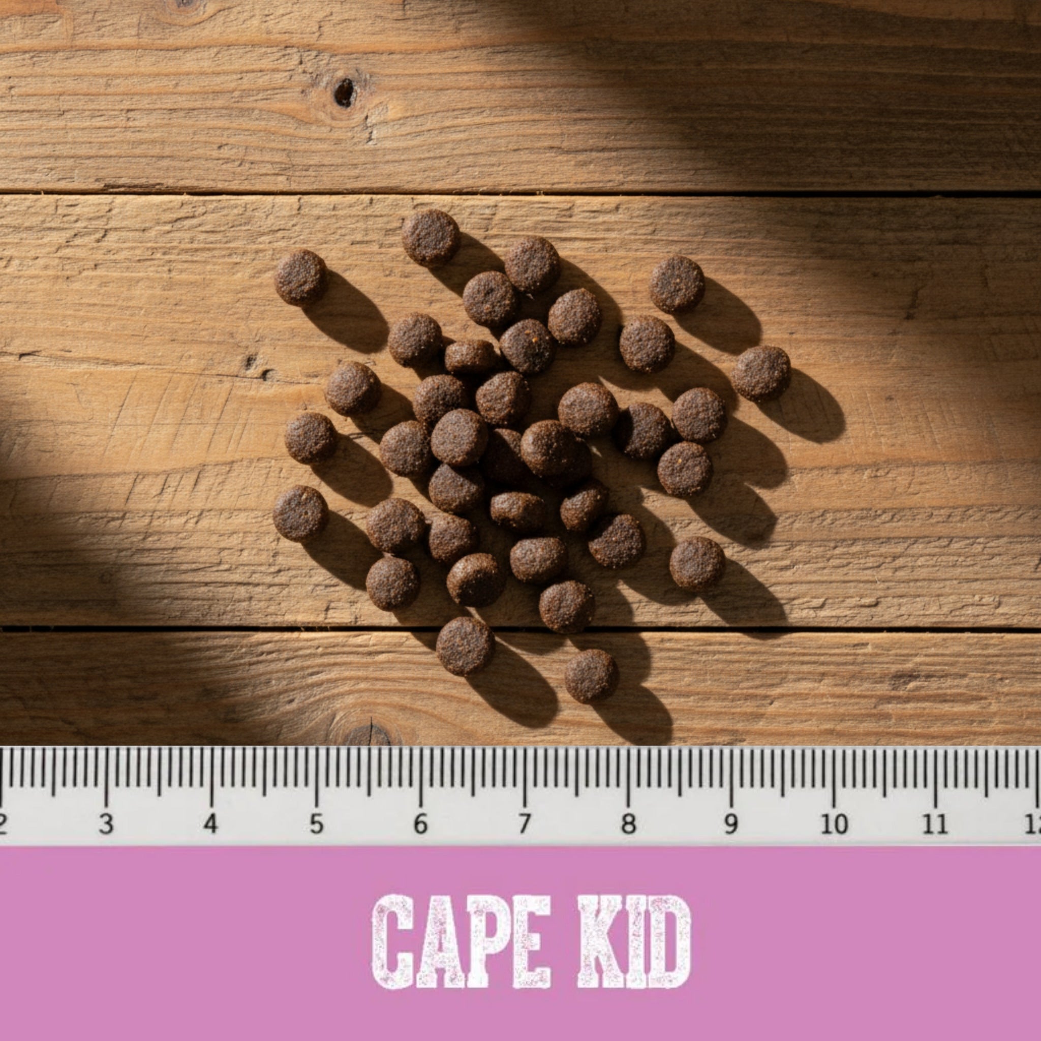 Black Canyon Cape Kid - Puppy Small/Medium - Lachs & Huhn - Woofshack