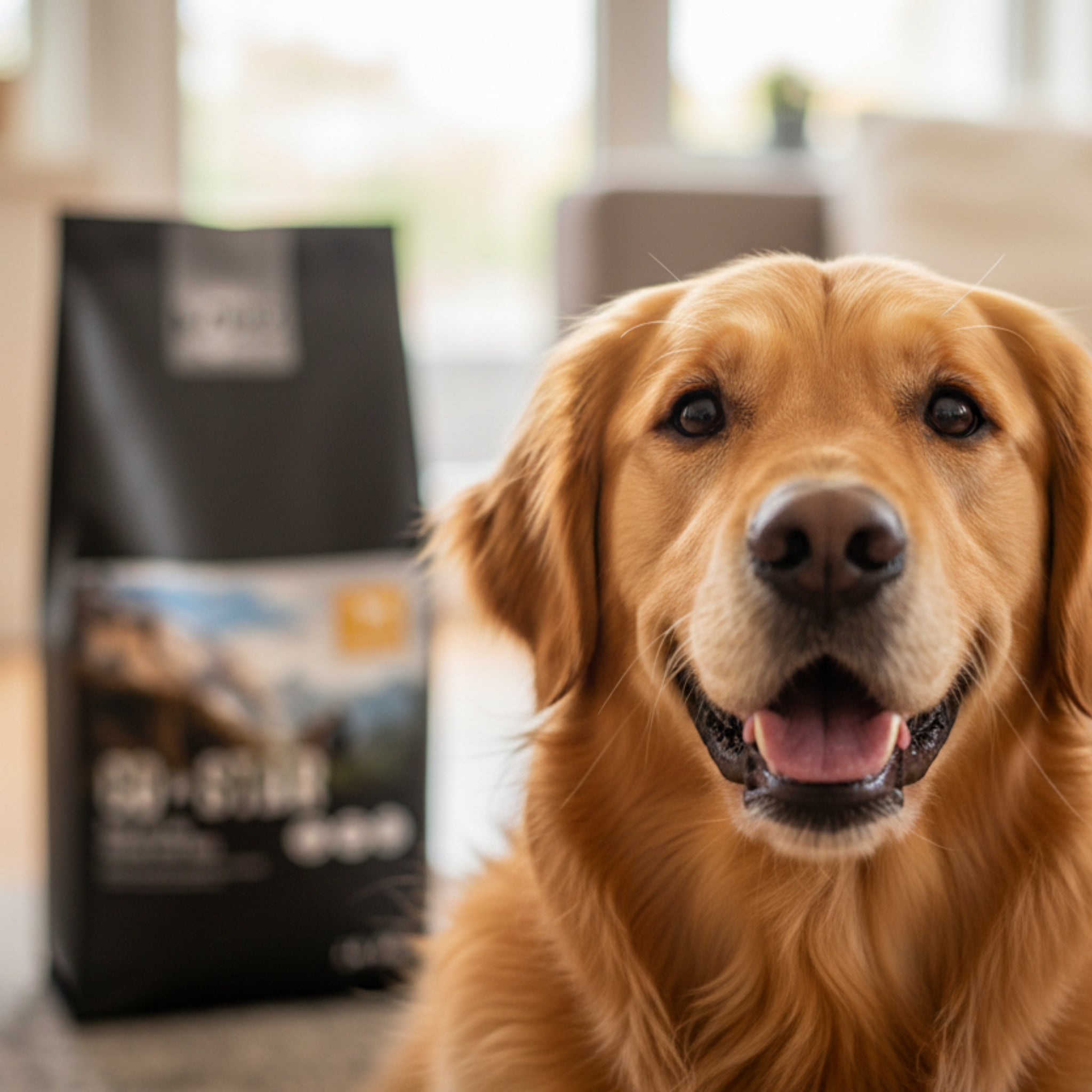 Black Canyon CoStar Adult Huhn & Reis – Premium Trockenfutter für ausgewachsene Hunde mit leicht verdaulicher Rezeptur für gesundes Fell, starke Muskeln & optimale Verdauung - Woofshack