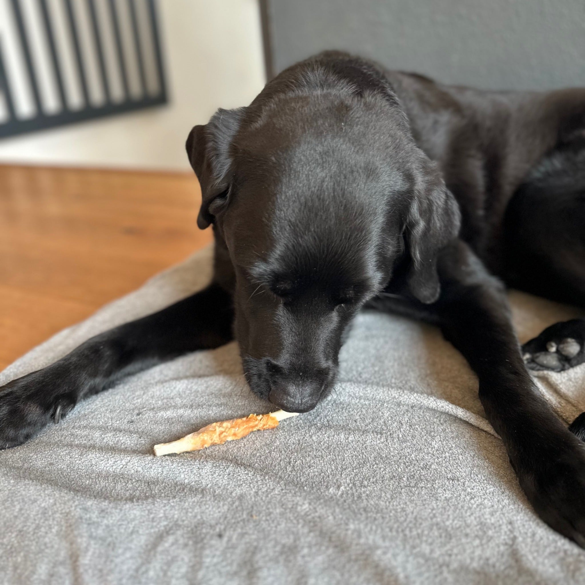 Black Canyon Kaustange im Hühnerfiletmantel, Hunde Kausnack - Woofshack