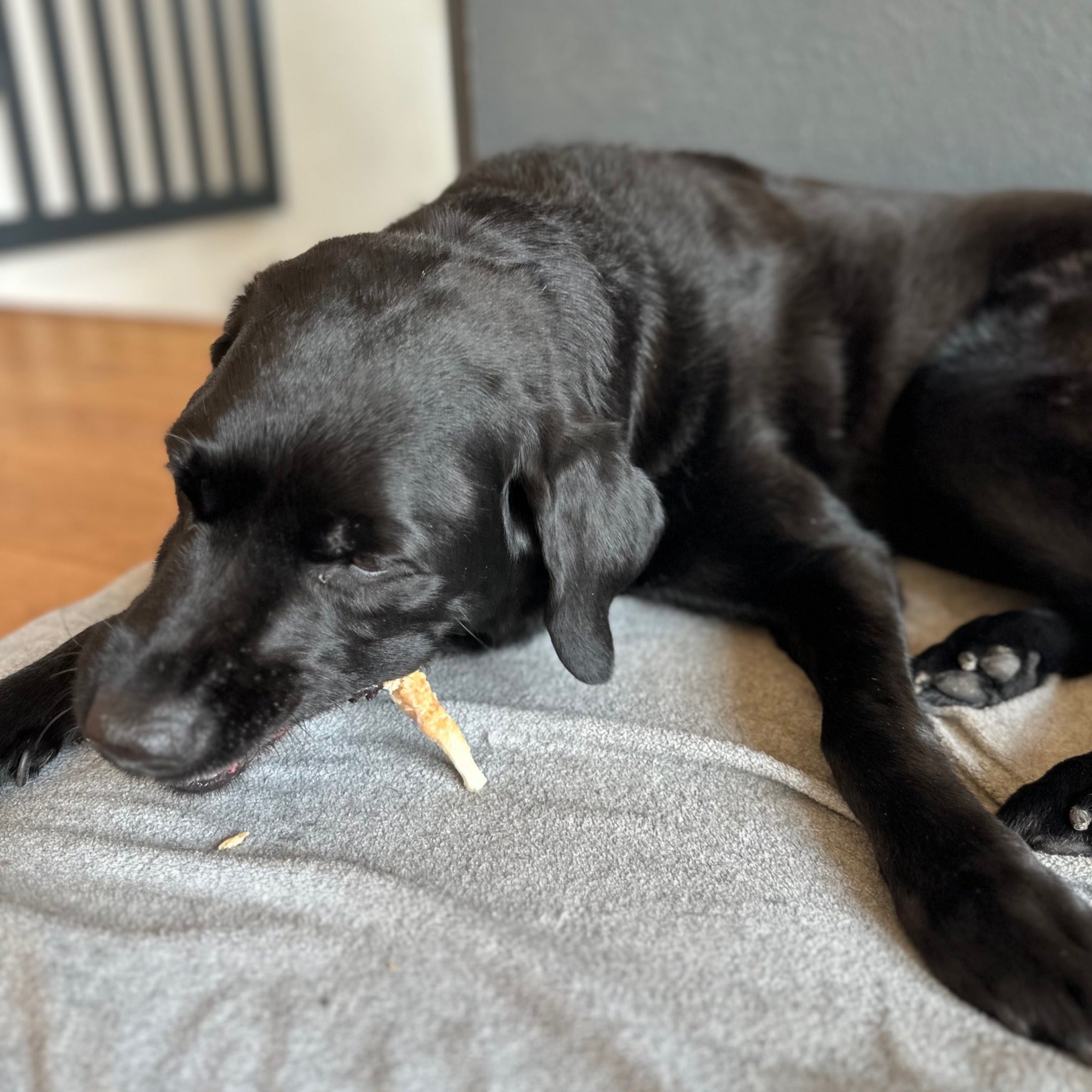 Black Canyon Kaustange im Hühnerfiletmantel, Hunde Kausnack - Woofshack