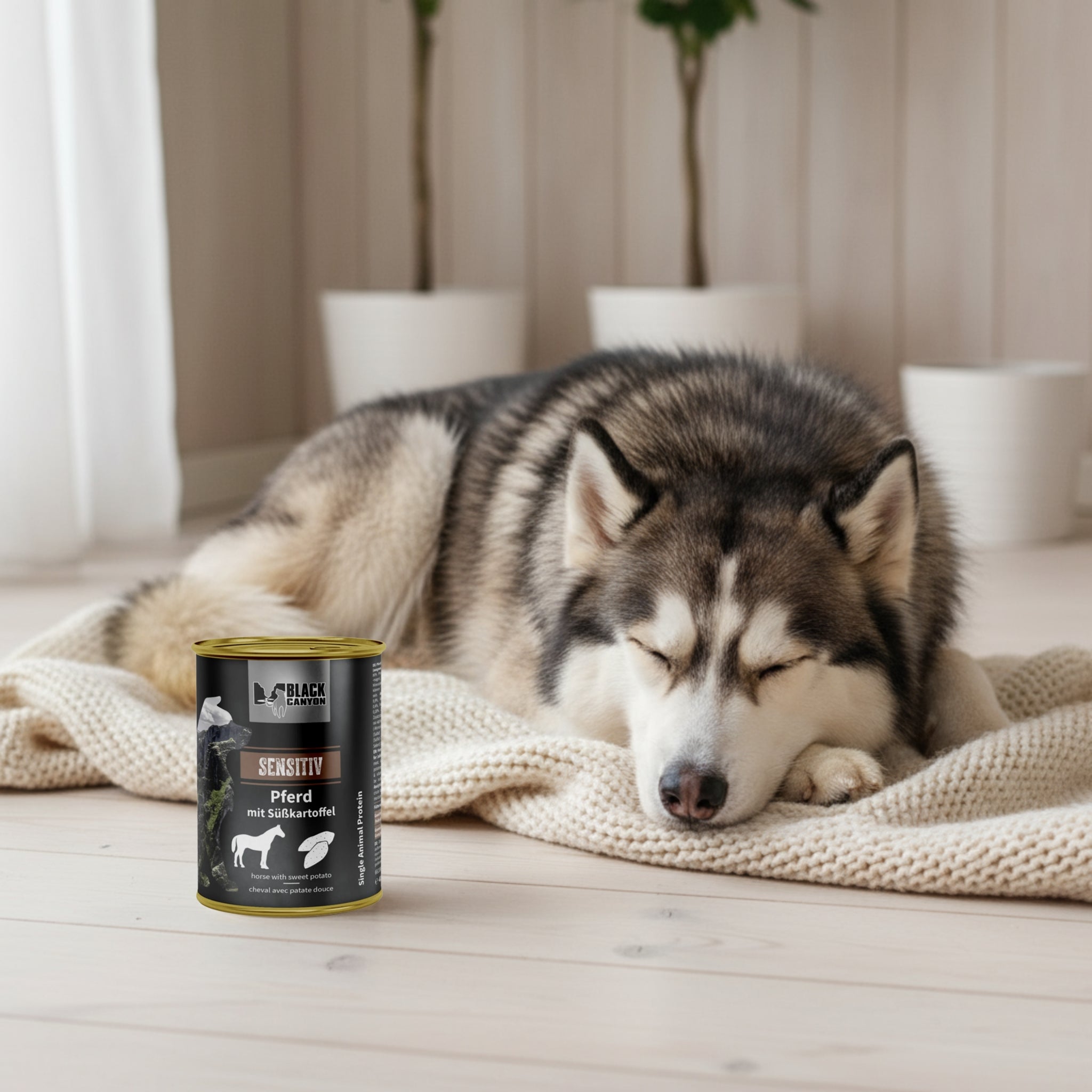 Black Canyon Sensitiv - Pferd mit Süßkartoffel, Hunde Nassfutter - Woofshack