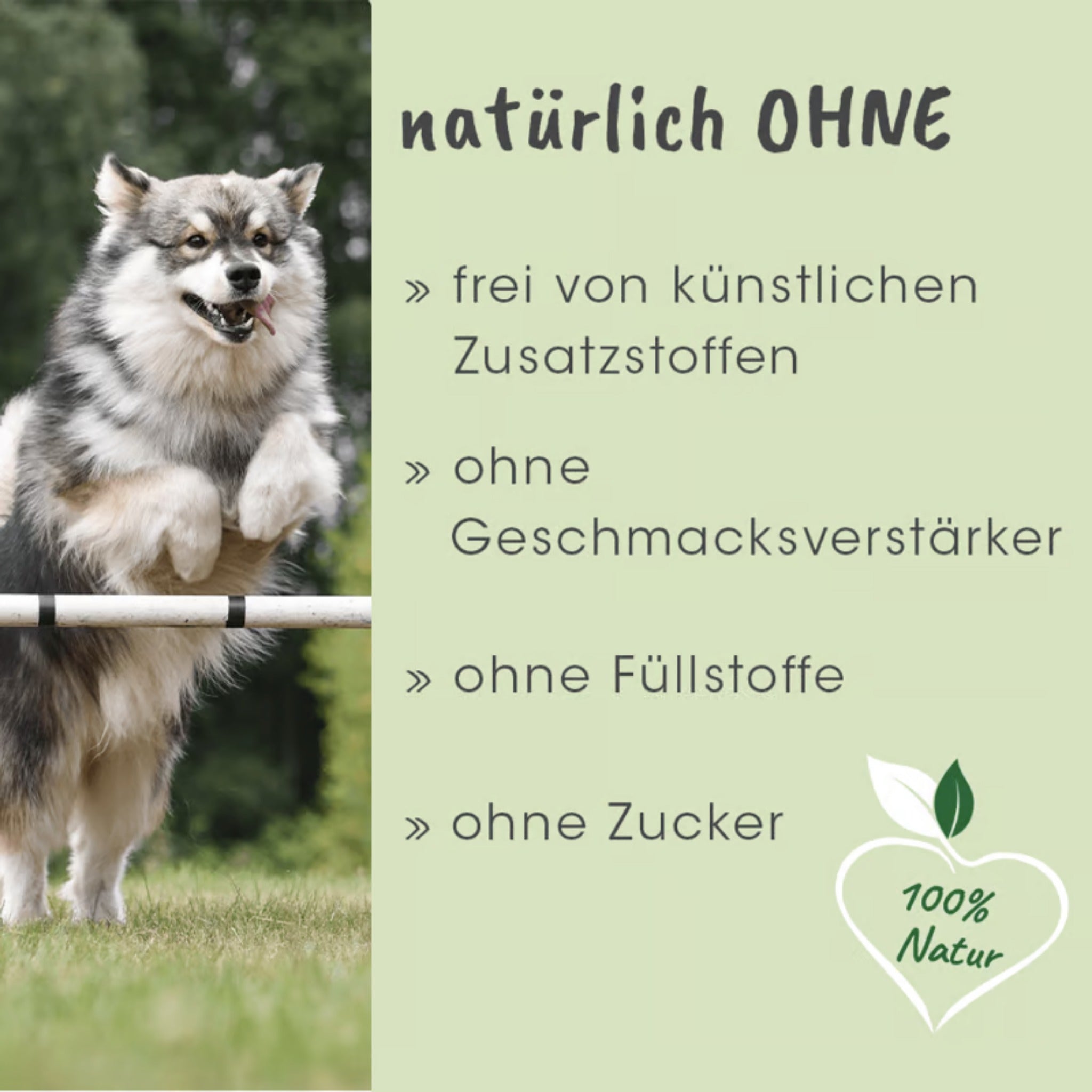 cdVet ArthroGreen Classic für Hunde - Woofshack